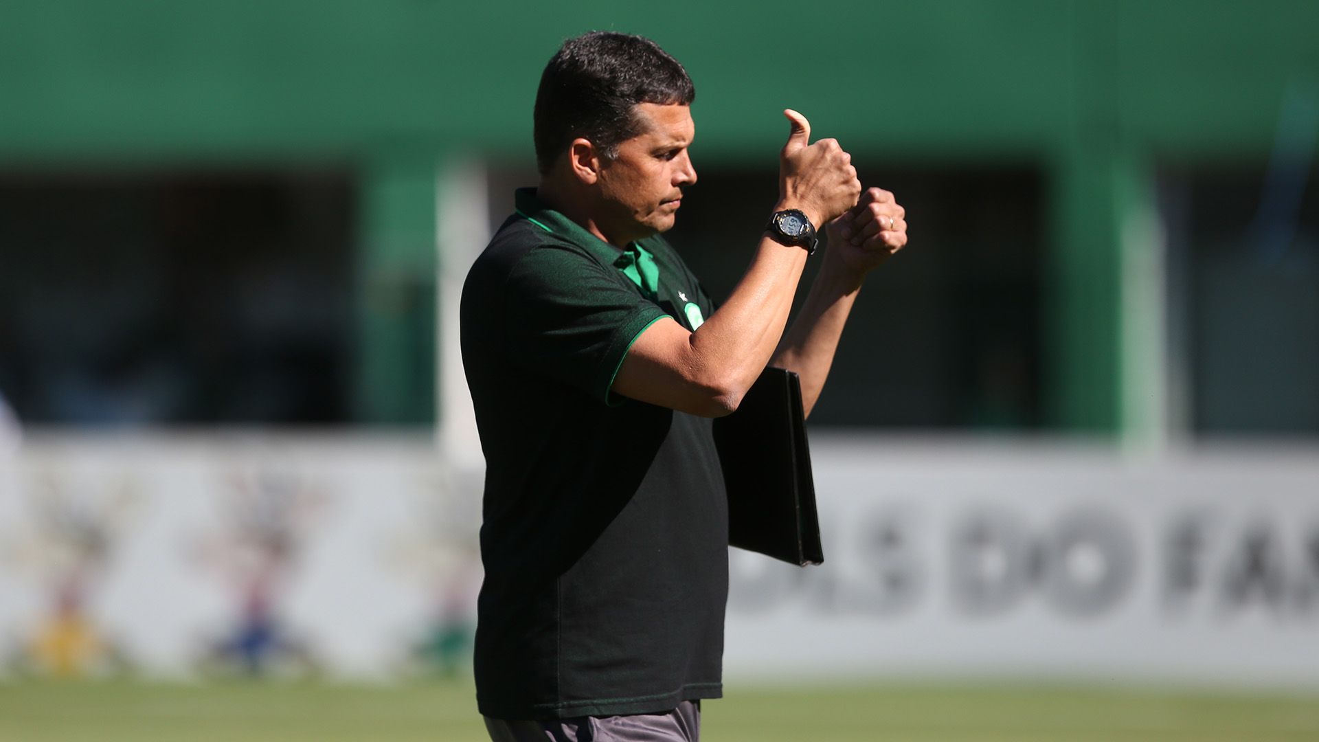 Claudinei Oliveira Chapecoense Botafogo Brasileirão Série A 15112018