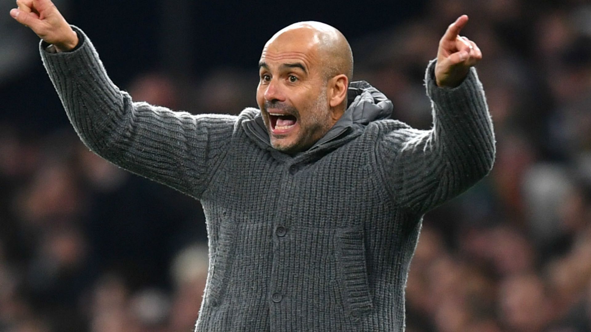 Pep Guardiola Manchester City 2018-19