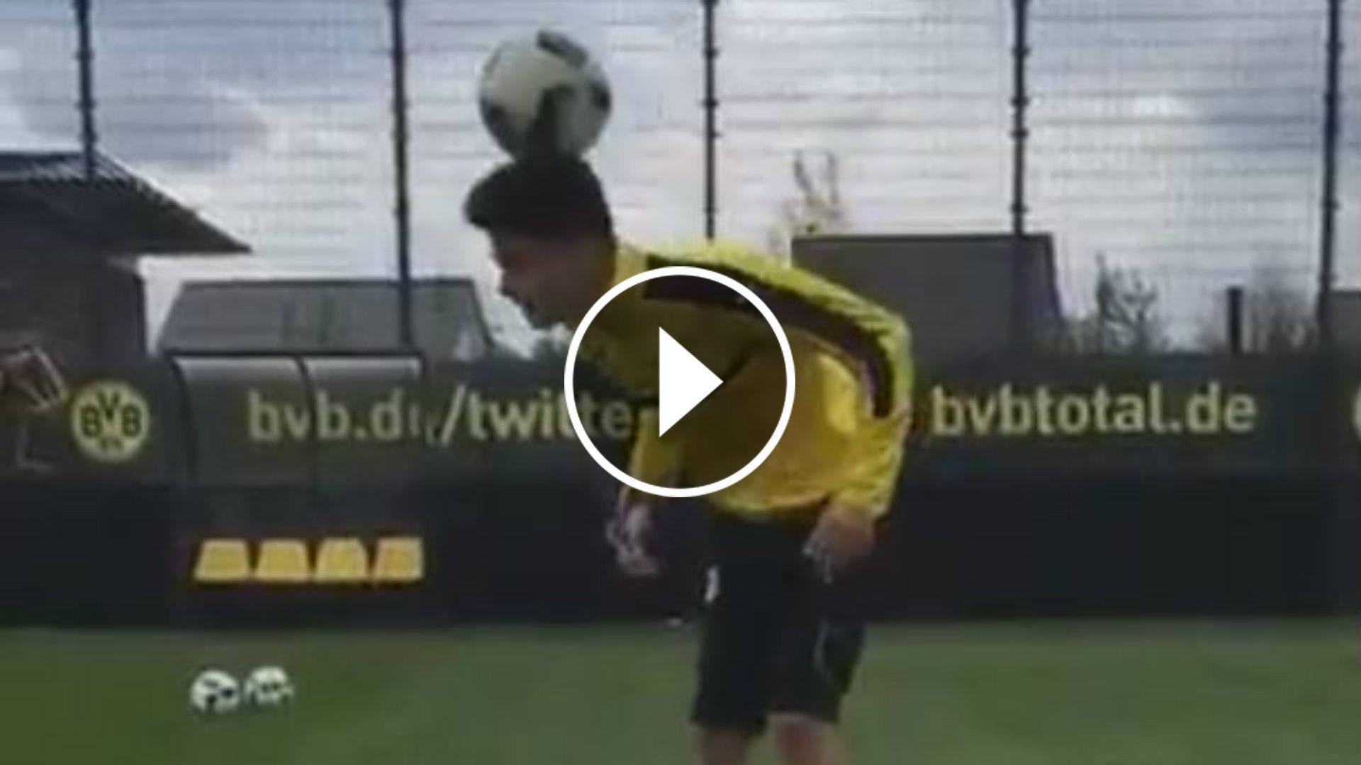 GFX VID Bartra