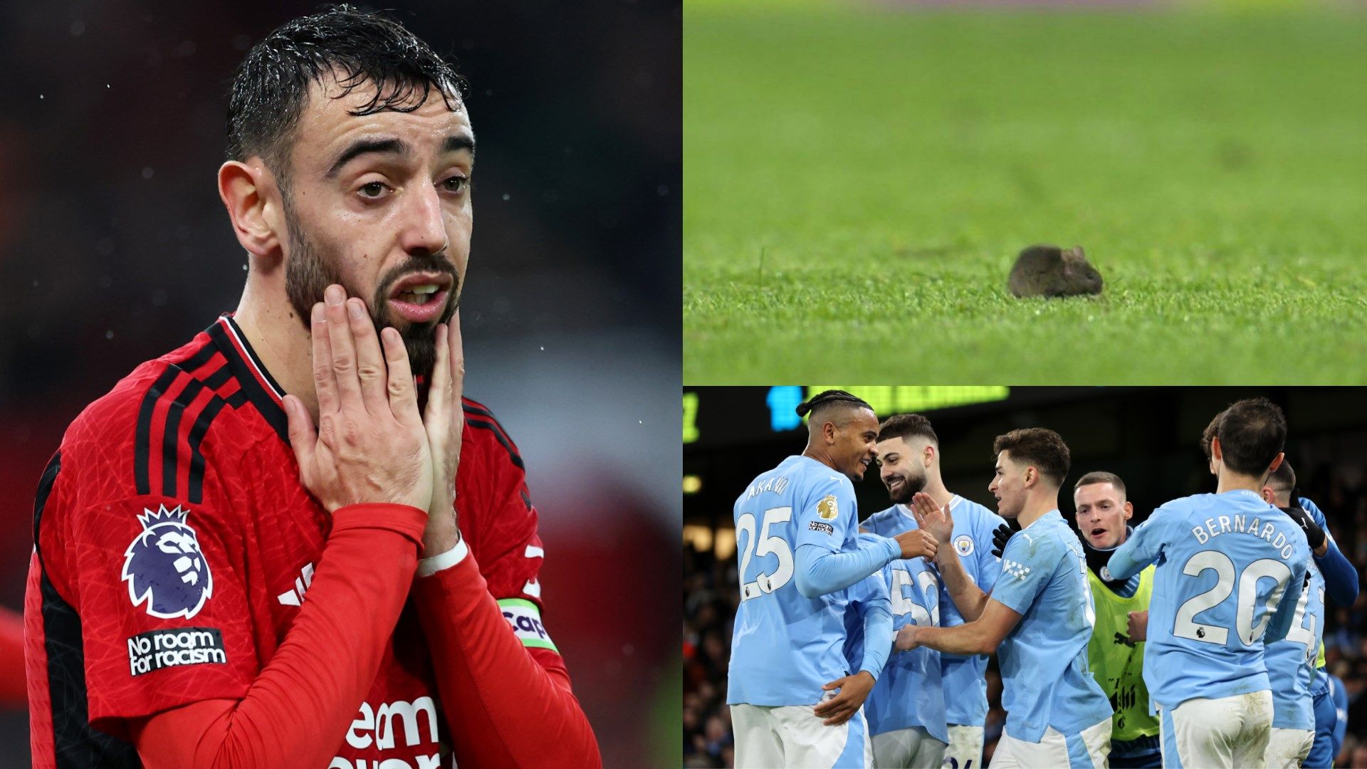 Bruno Fernandes Rat