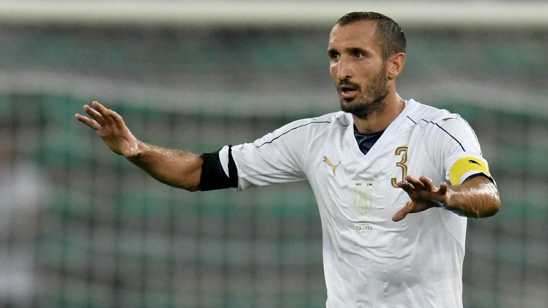 HD Giorgio Chiellini Italy