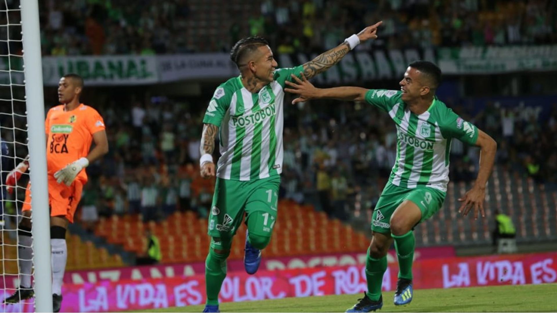 Atlético Nacional Alianza Petrolera Liga Aguila 2018 Dayro Moreno Omar Duarte