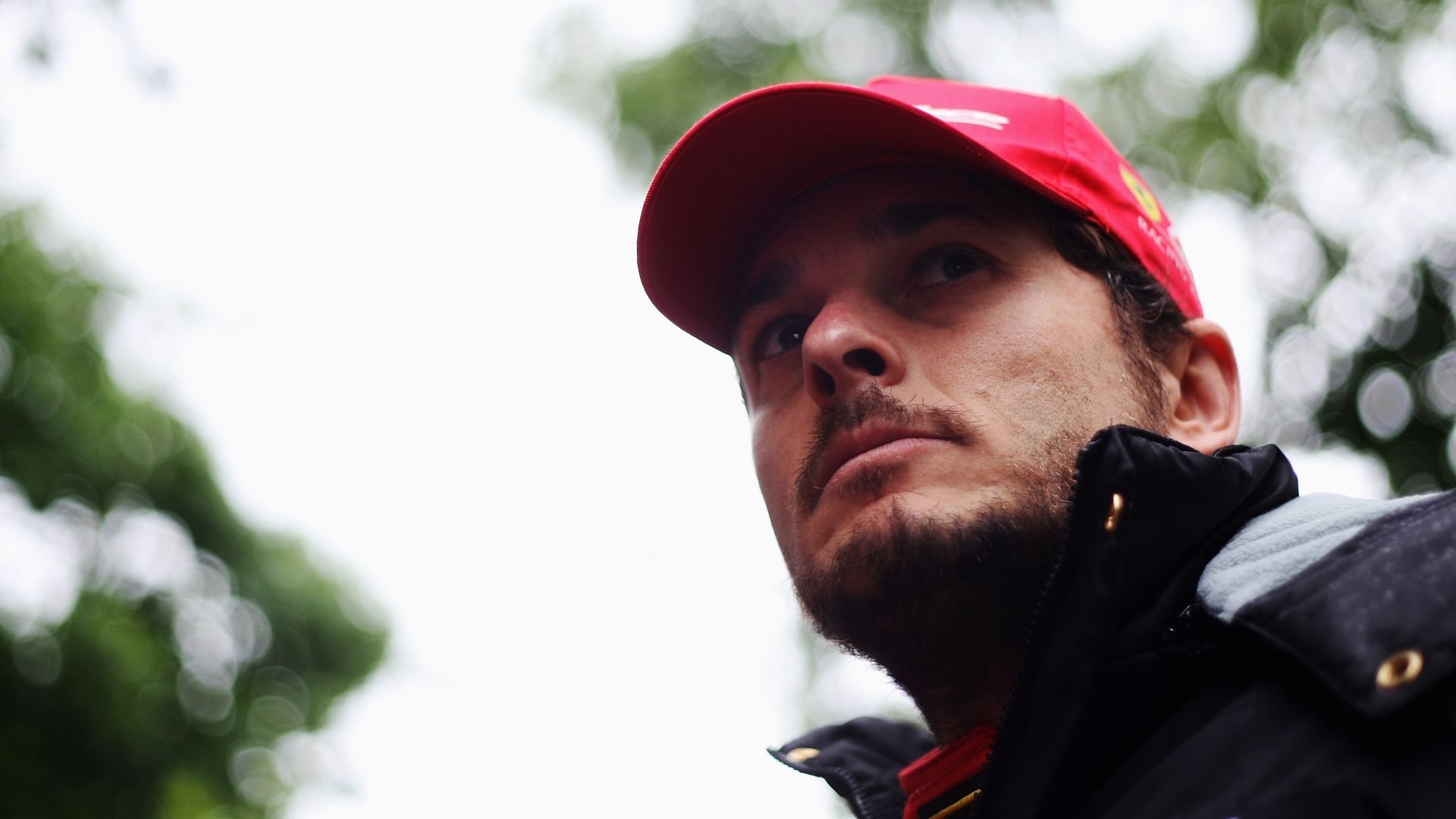 Giancarlo Fisichella Formula One F1