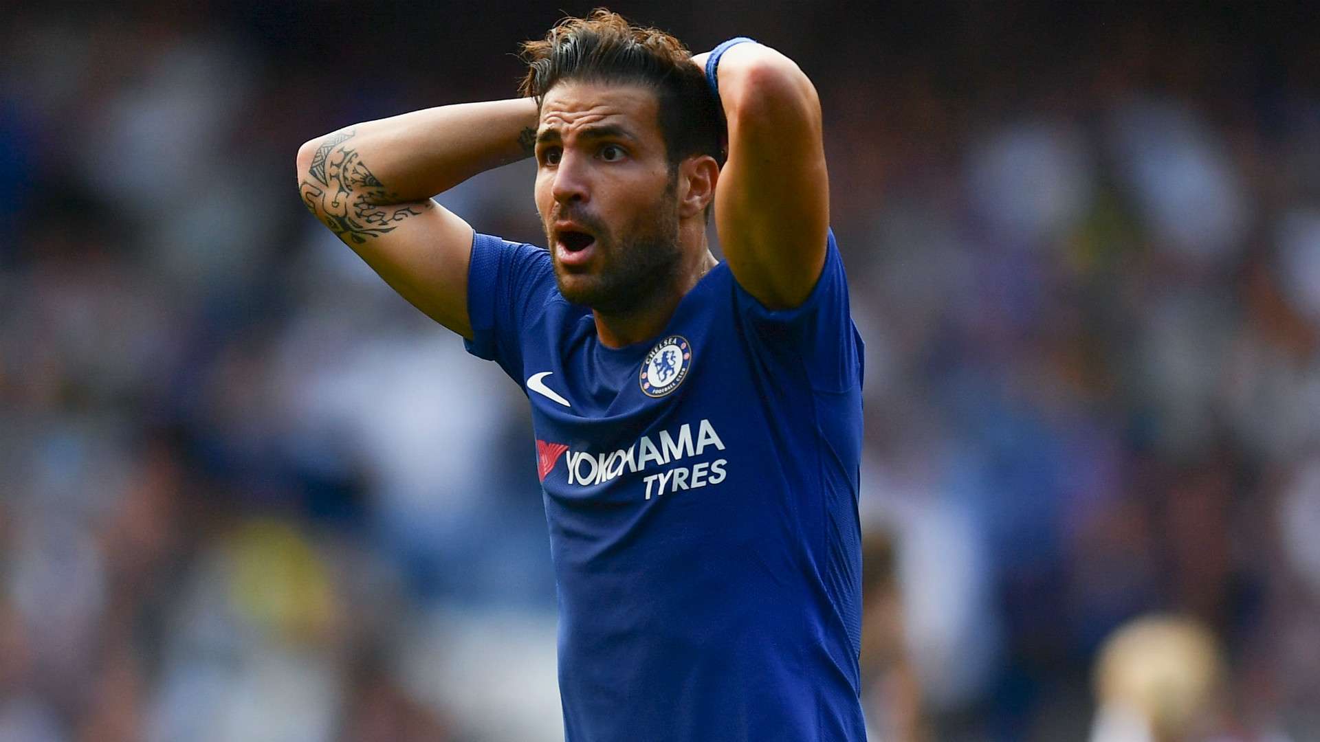 Cesc Fabregas Chelsea