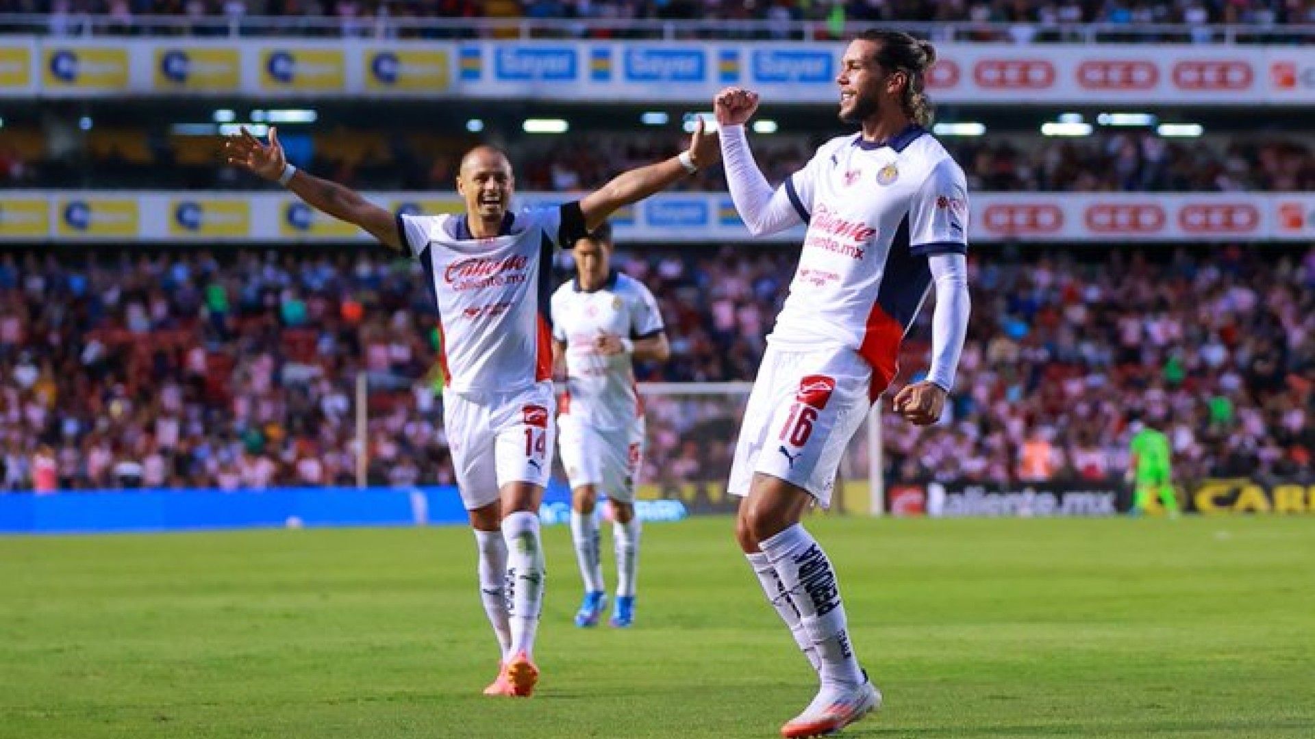Chivas celebración Apertura 2024 Liga MX