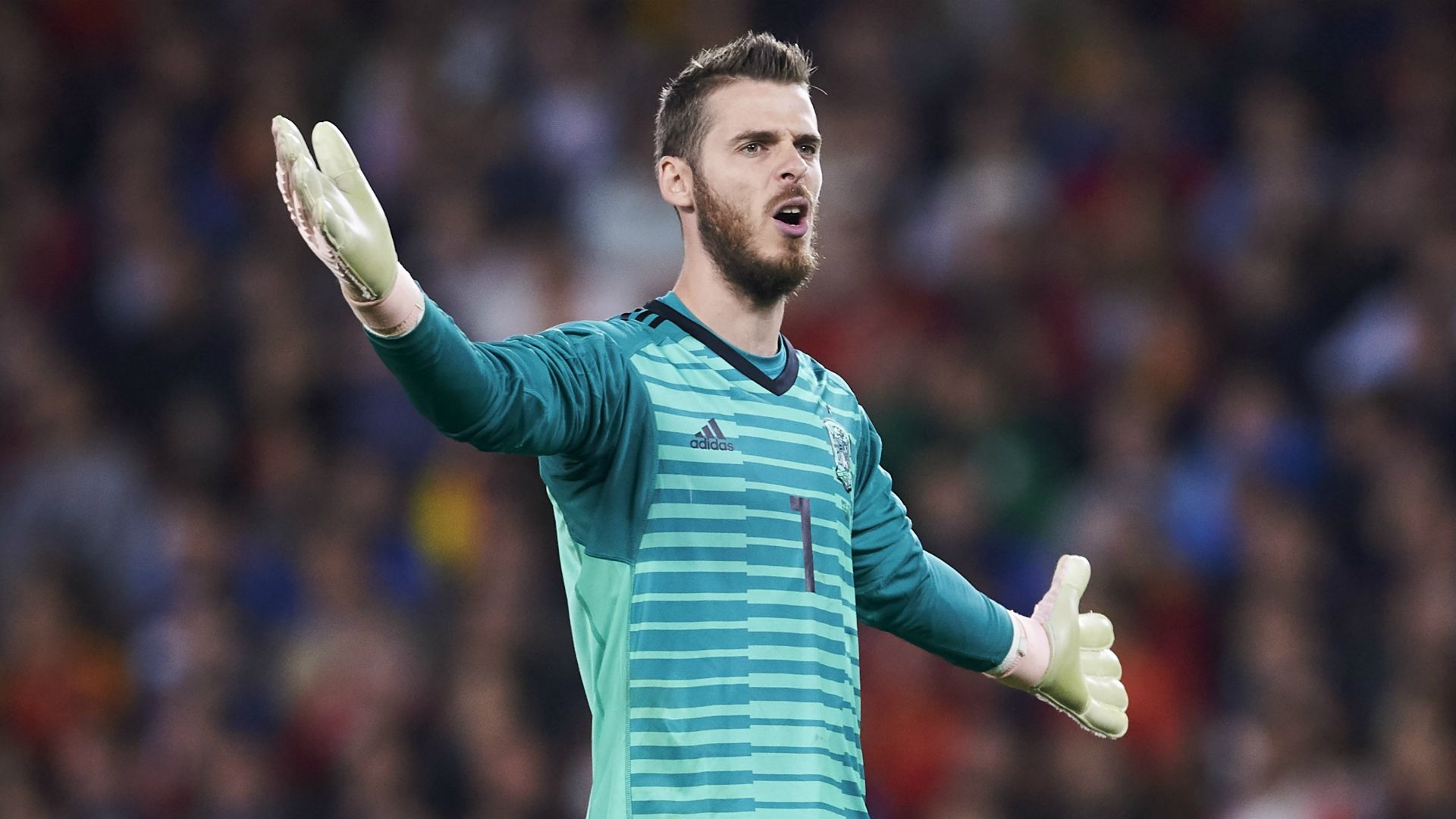 David de Gea - cropped