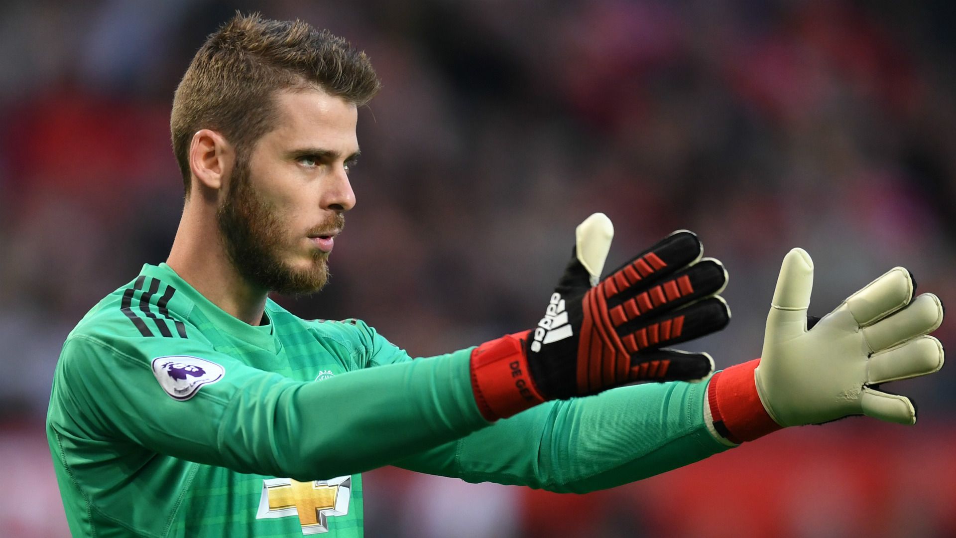 David de Gea Man Utd 2018-19