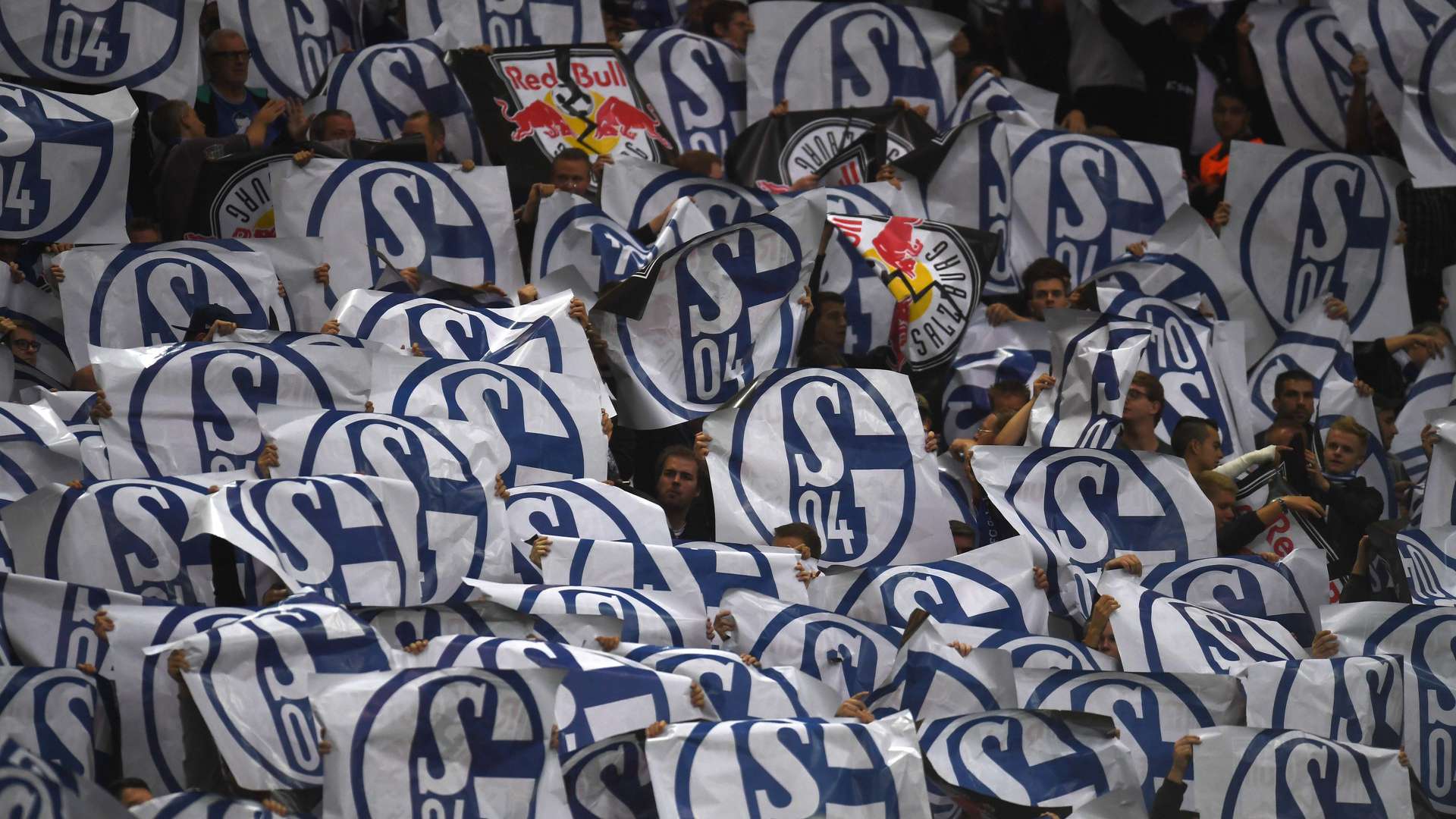 Schalke 04 Fans 29092016