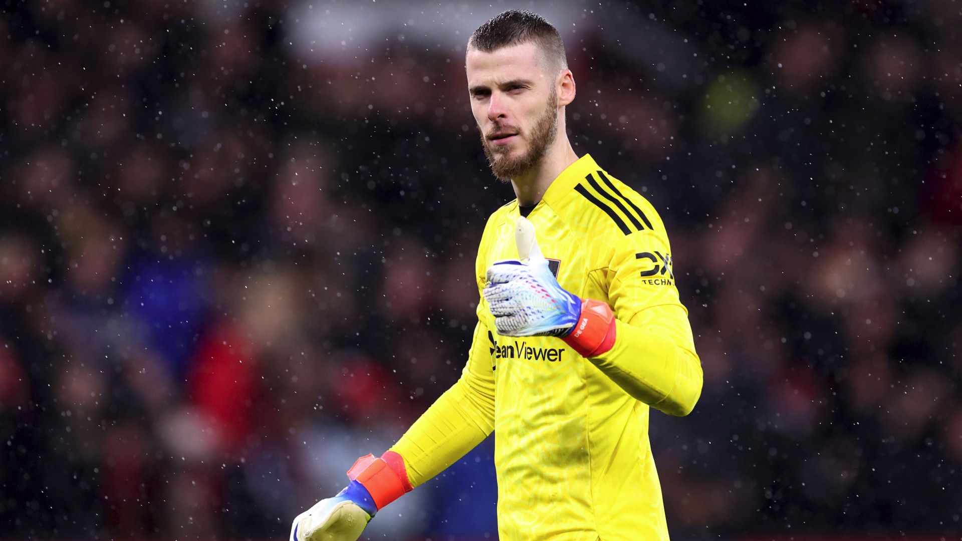 David De Gea 2022-23