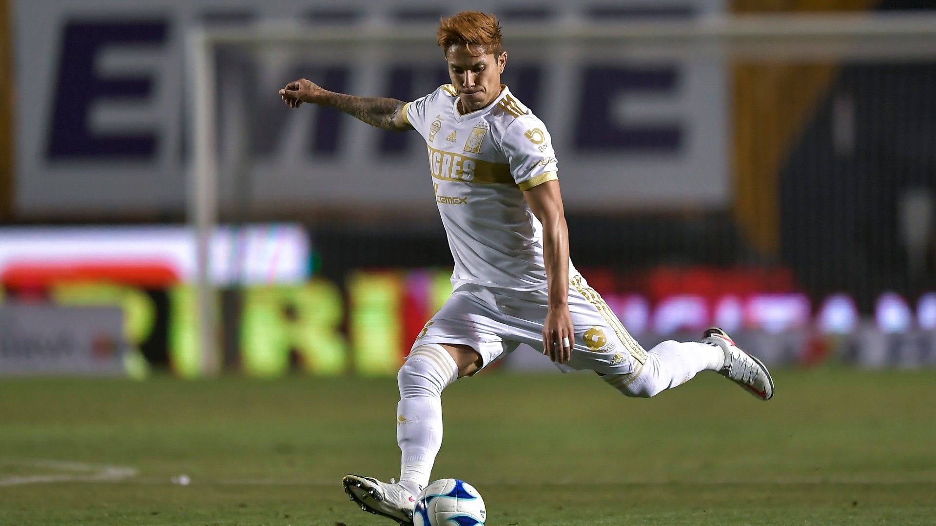 Carlos Salcedo Tigres