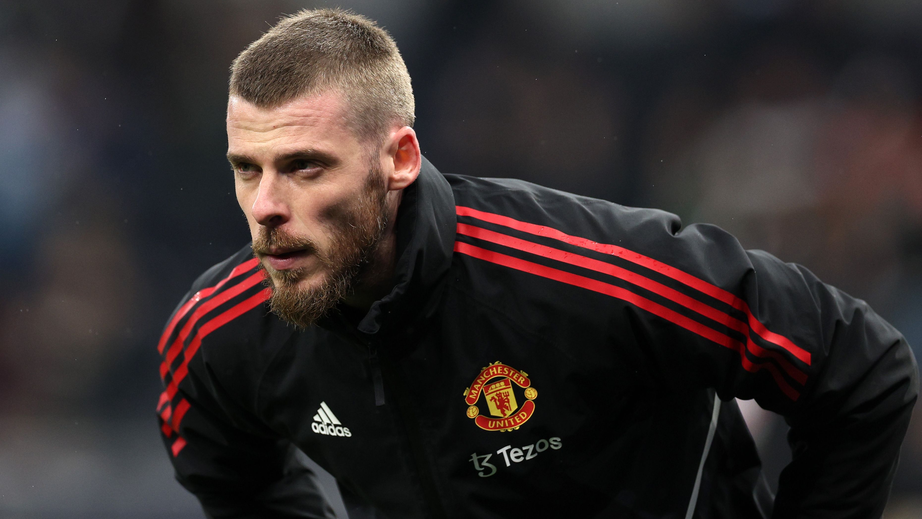 David de Gea Man Utd 