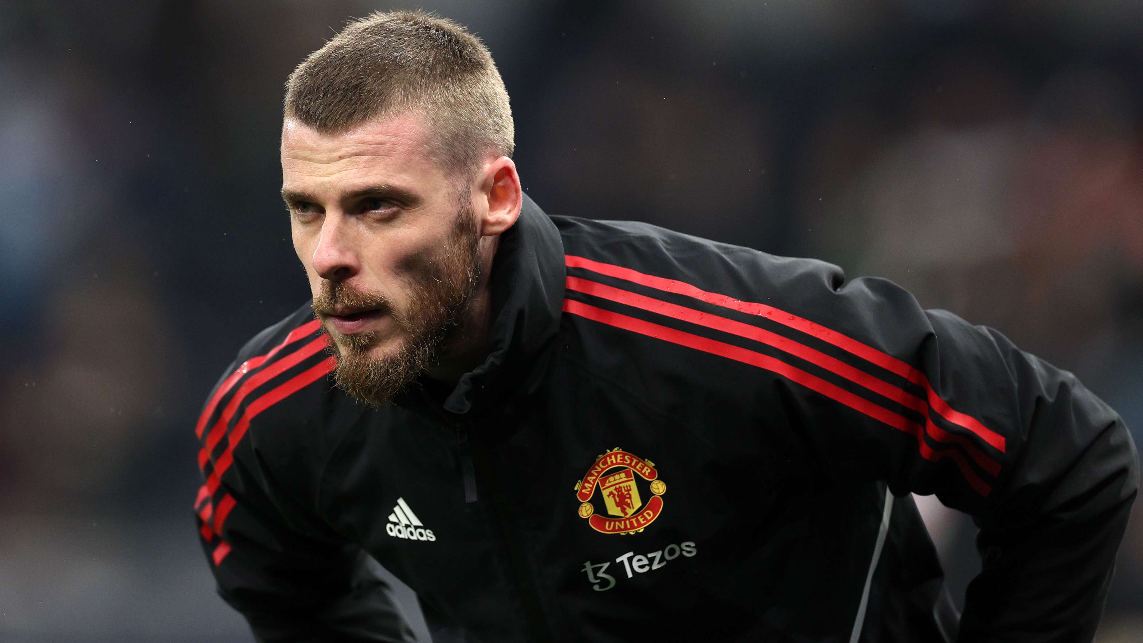 David de Gea Man Utd