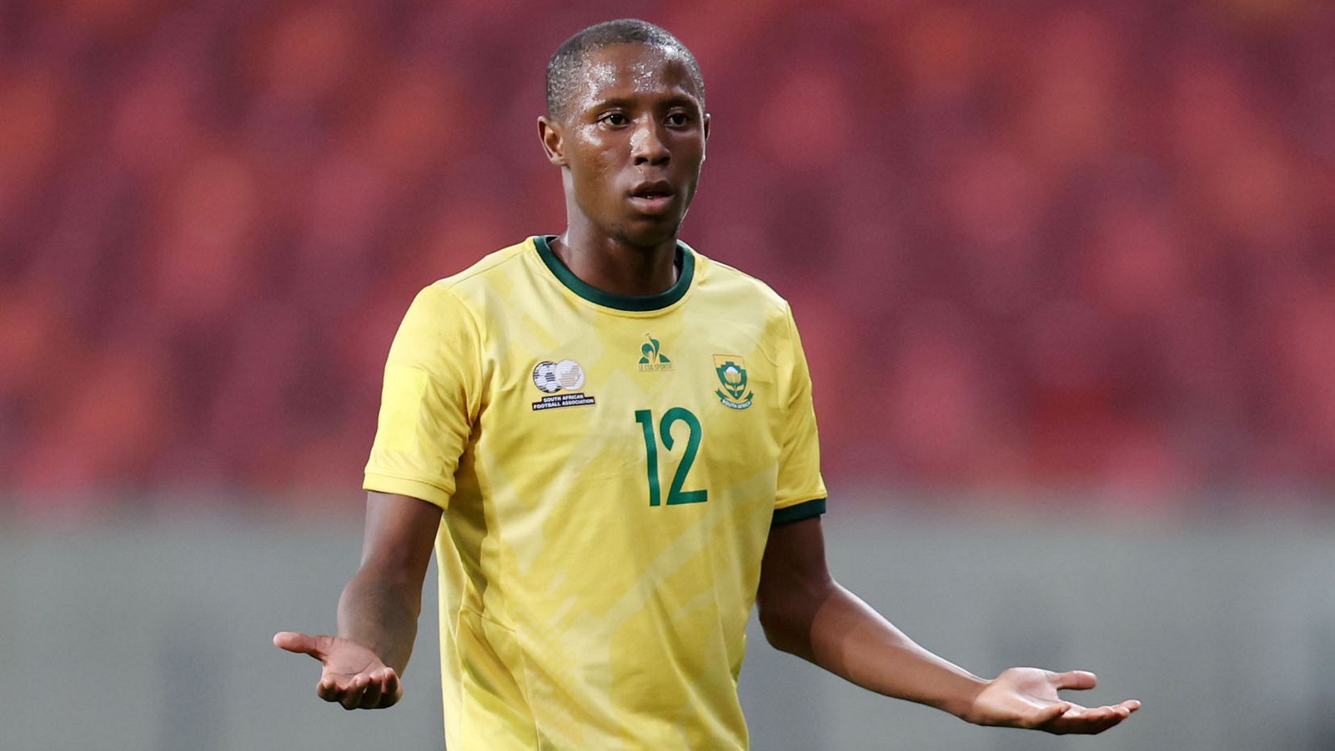 Tshepang Moremi, Bafana Bafana, June 2024