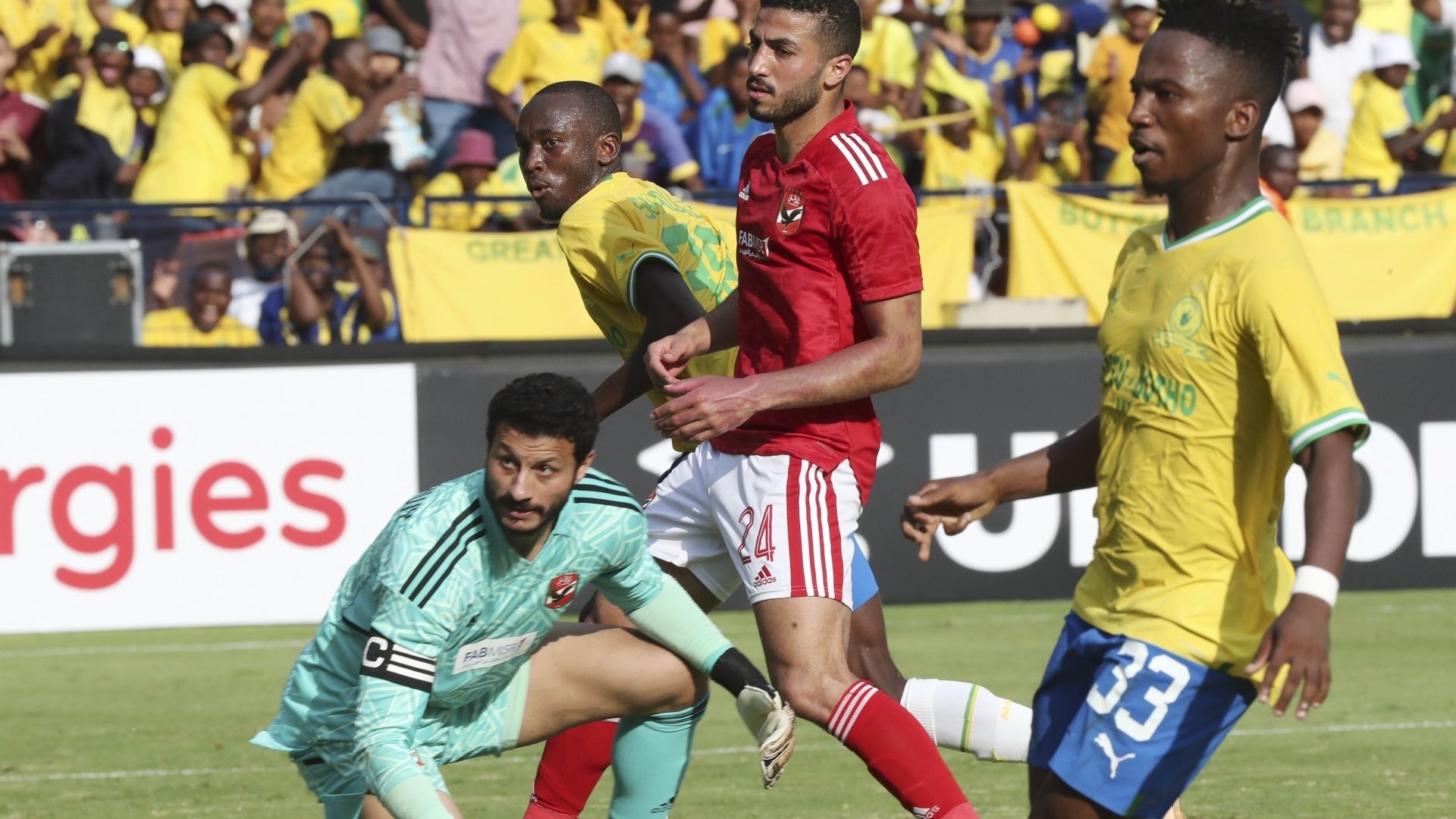 Mohammed El Shennawy, Cassius Mailula