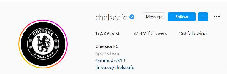 Chelsea Mudryk Instagram bio