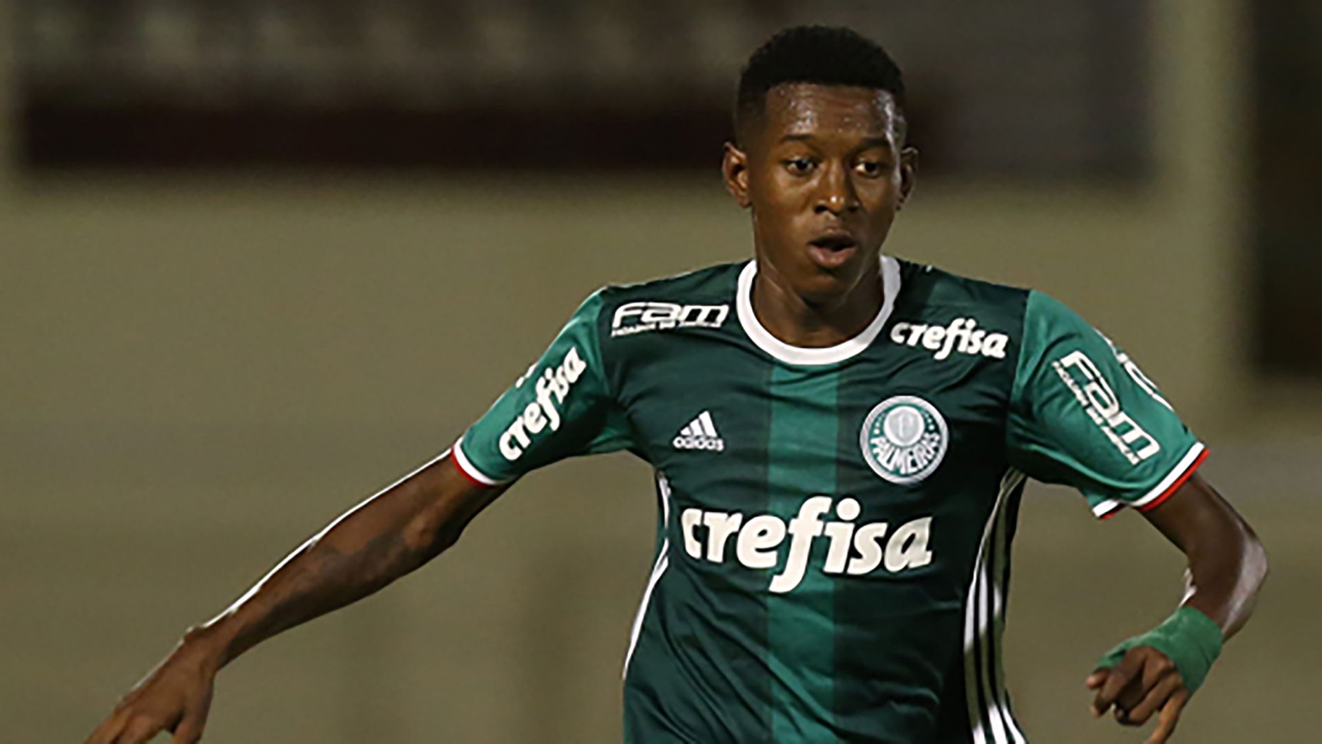 Vitao Palmeiras 2017