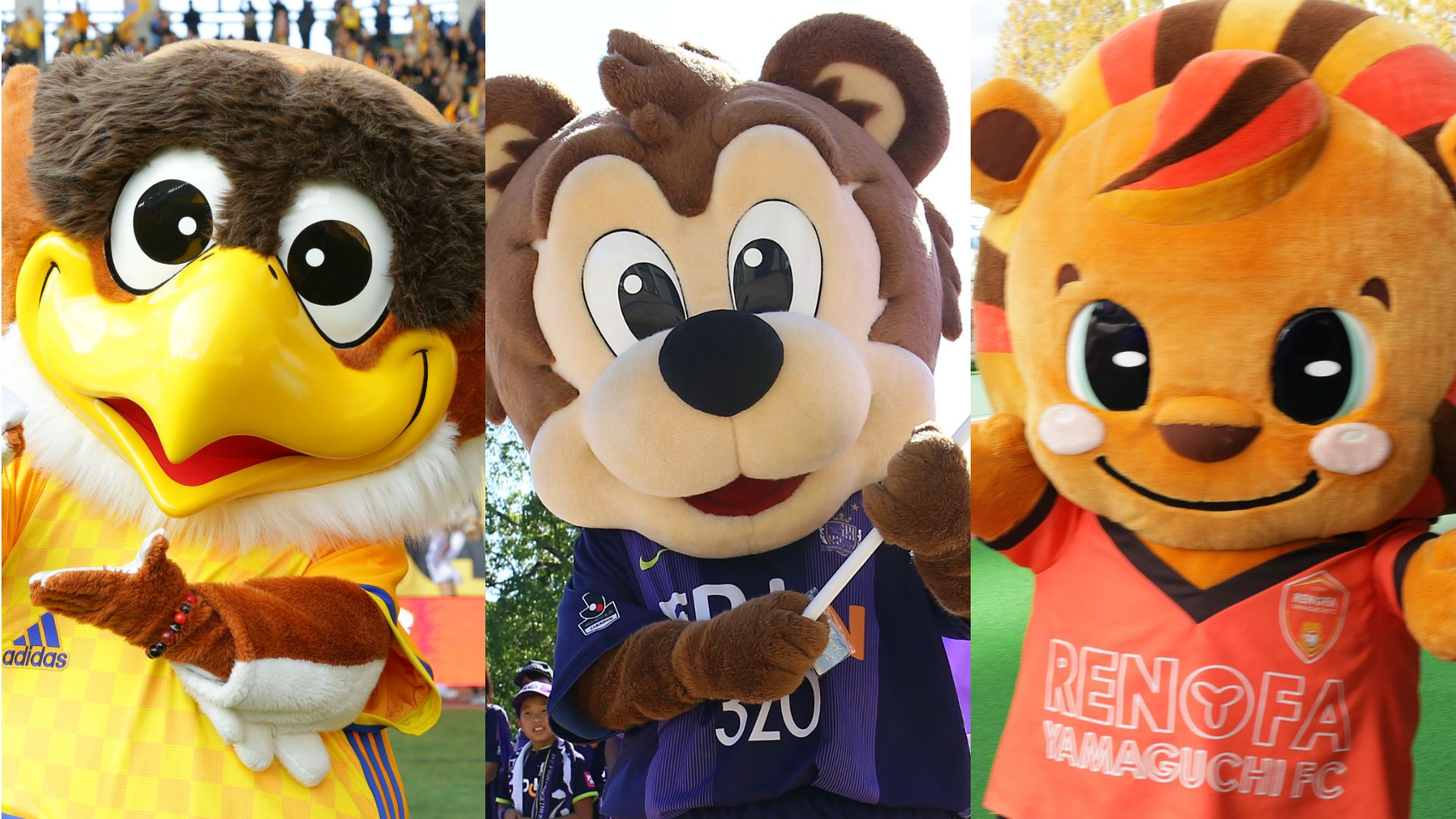 2018-02-07-mascot.jpg