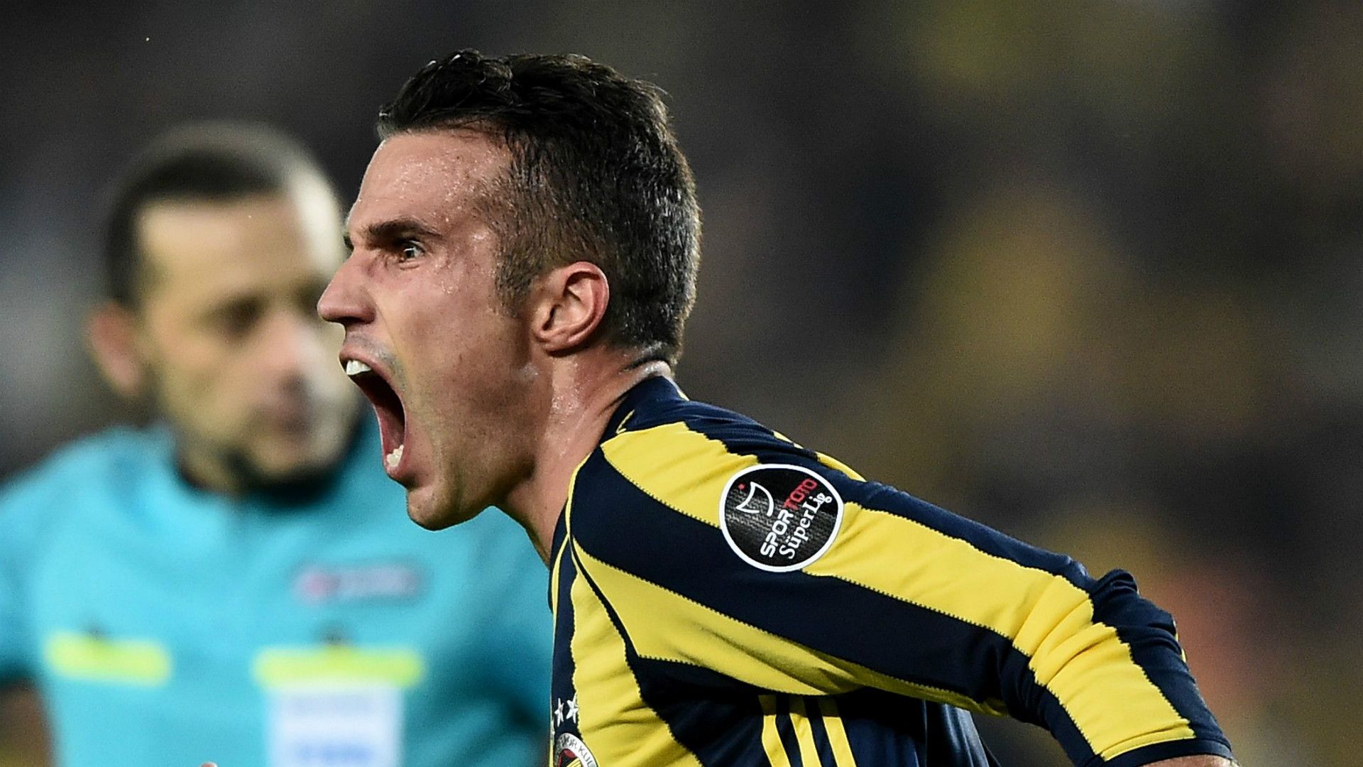 Robin van Persie Fenerbahce