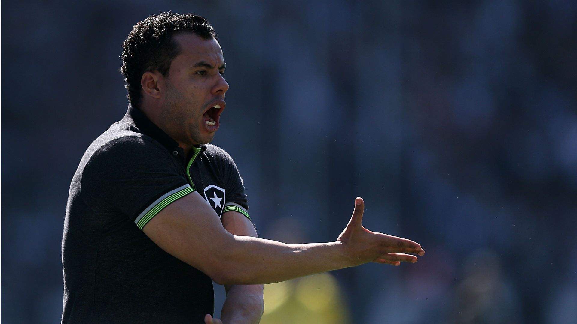 Jair Ventura Botafogo Brasileirão 15 06 2017
