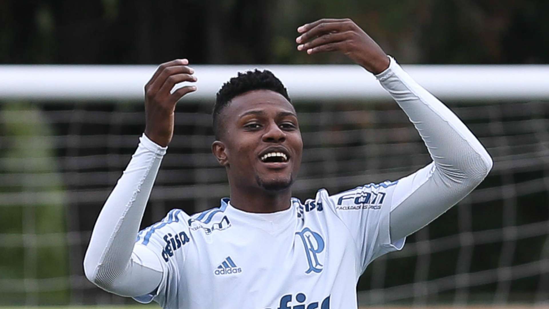 Pedrão - Palmeiras - 16/11/2018