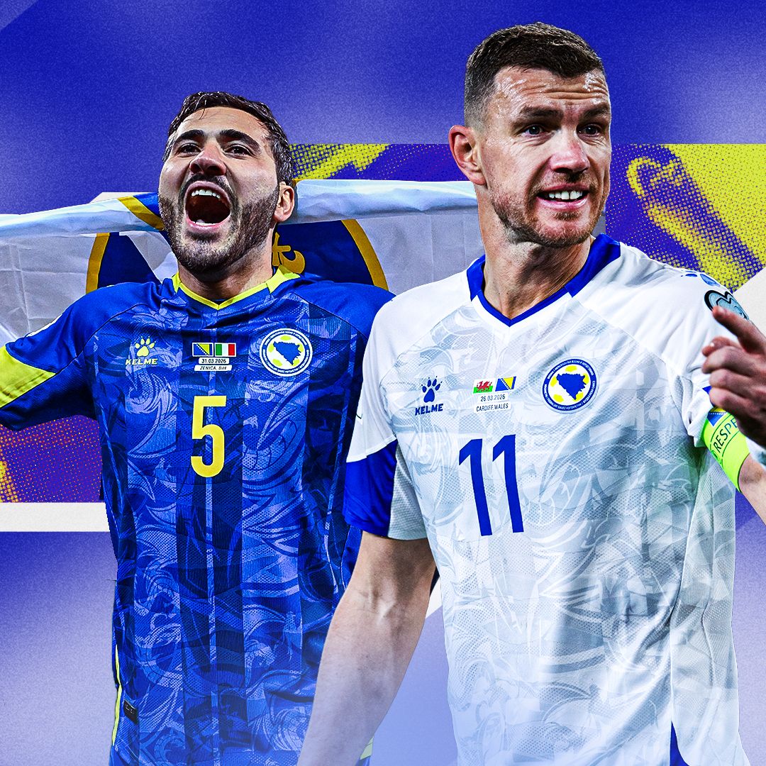 Bosnia & Herzegovina World Cup GFX