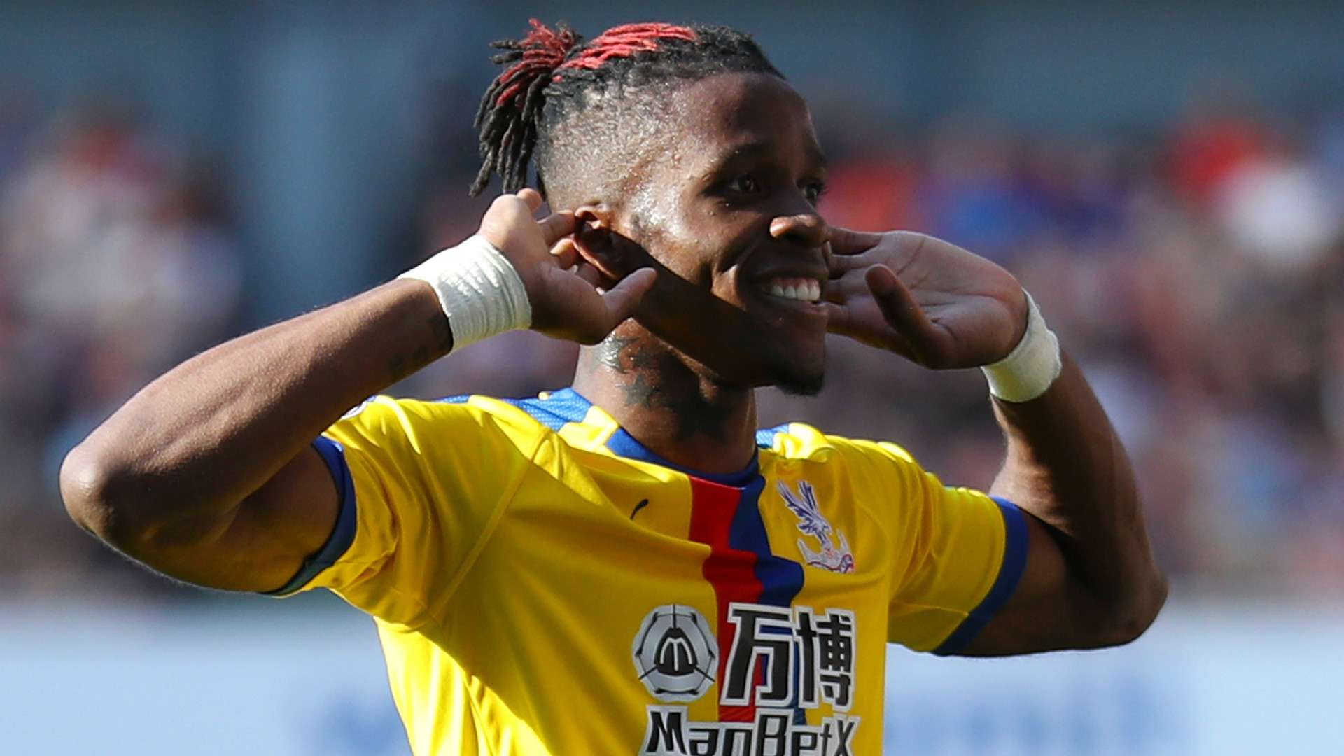 Wilfried Zaha Crystal Palace 2018-19