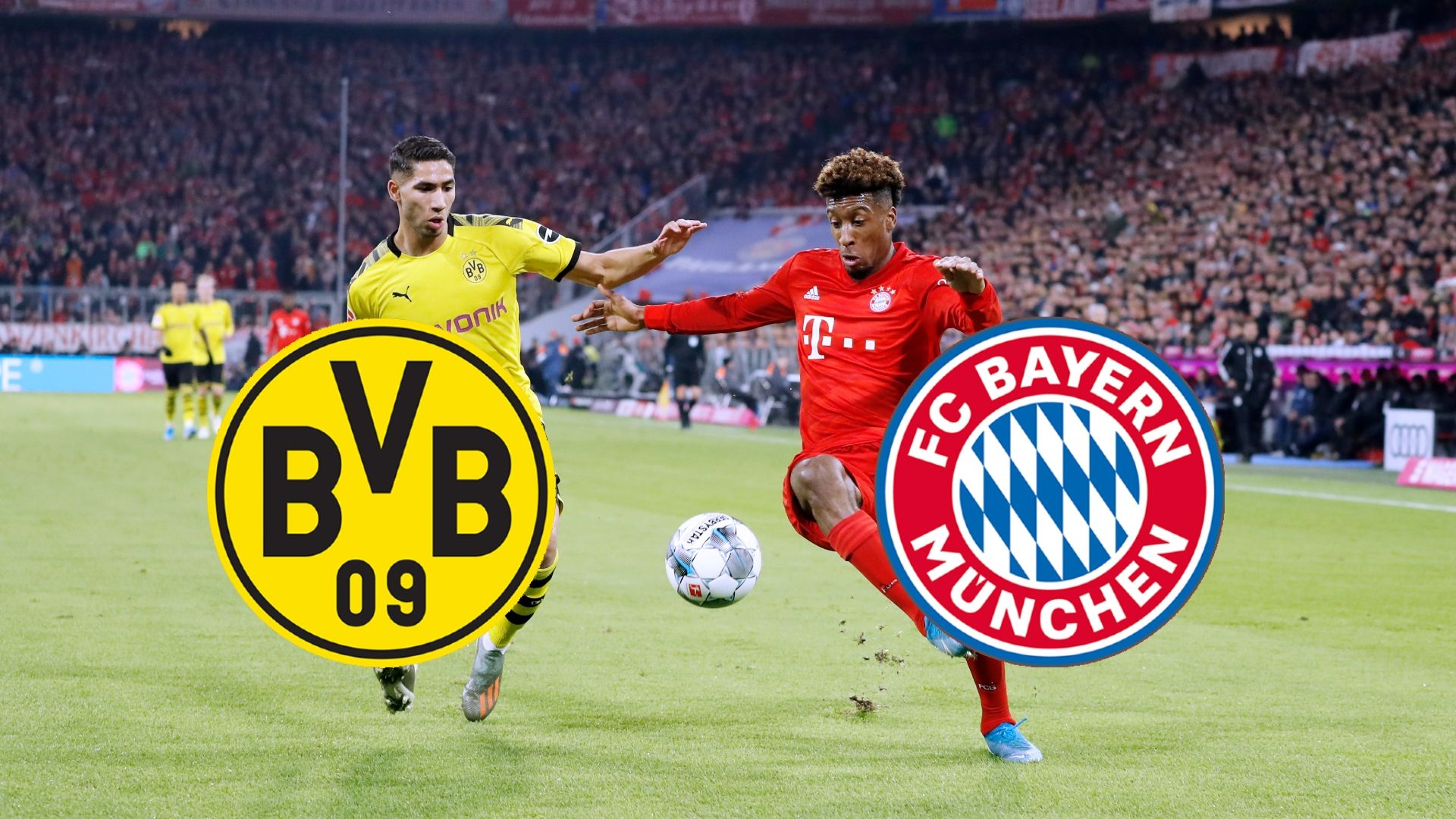 GFX BVB Bayern 2019