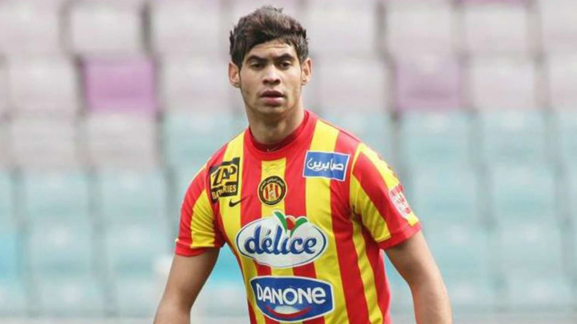 شمس الدين الذوادي