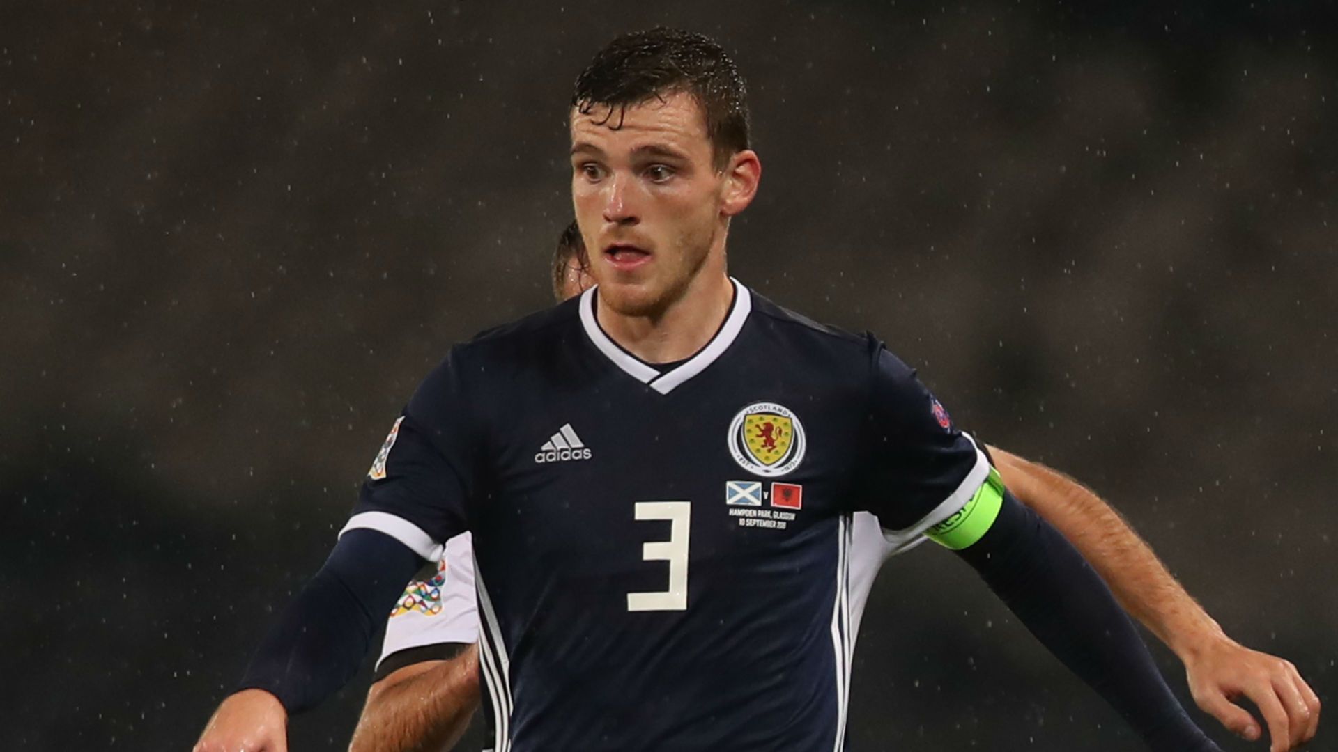 James McFadden Alex McLeish Scotland