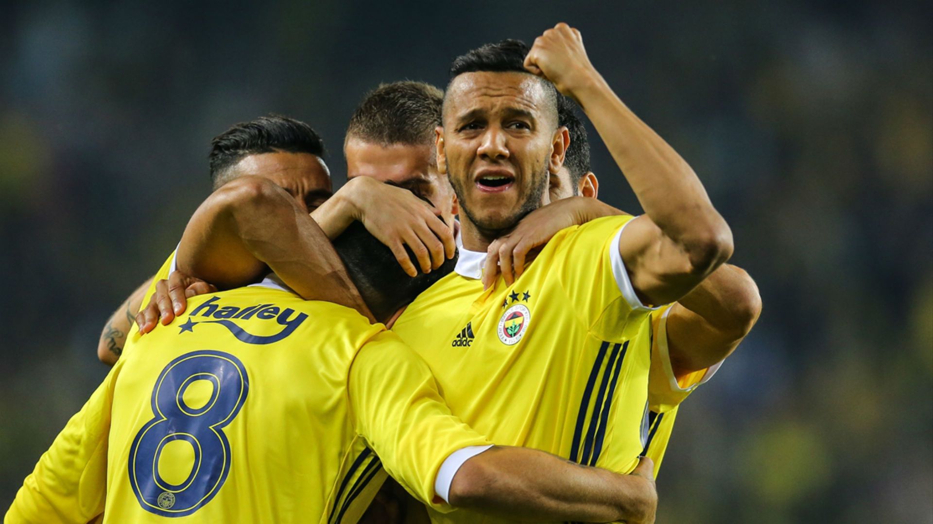 Josef de Souza Fenerbahce 10152017