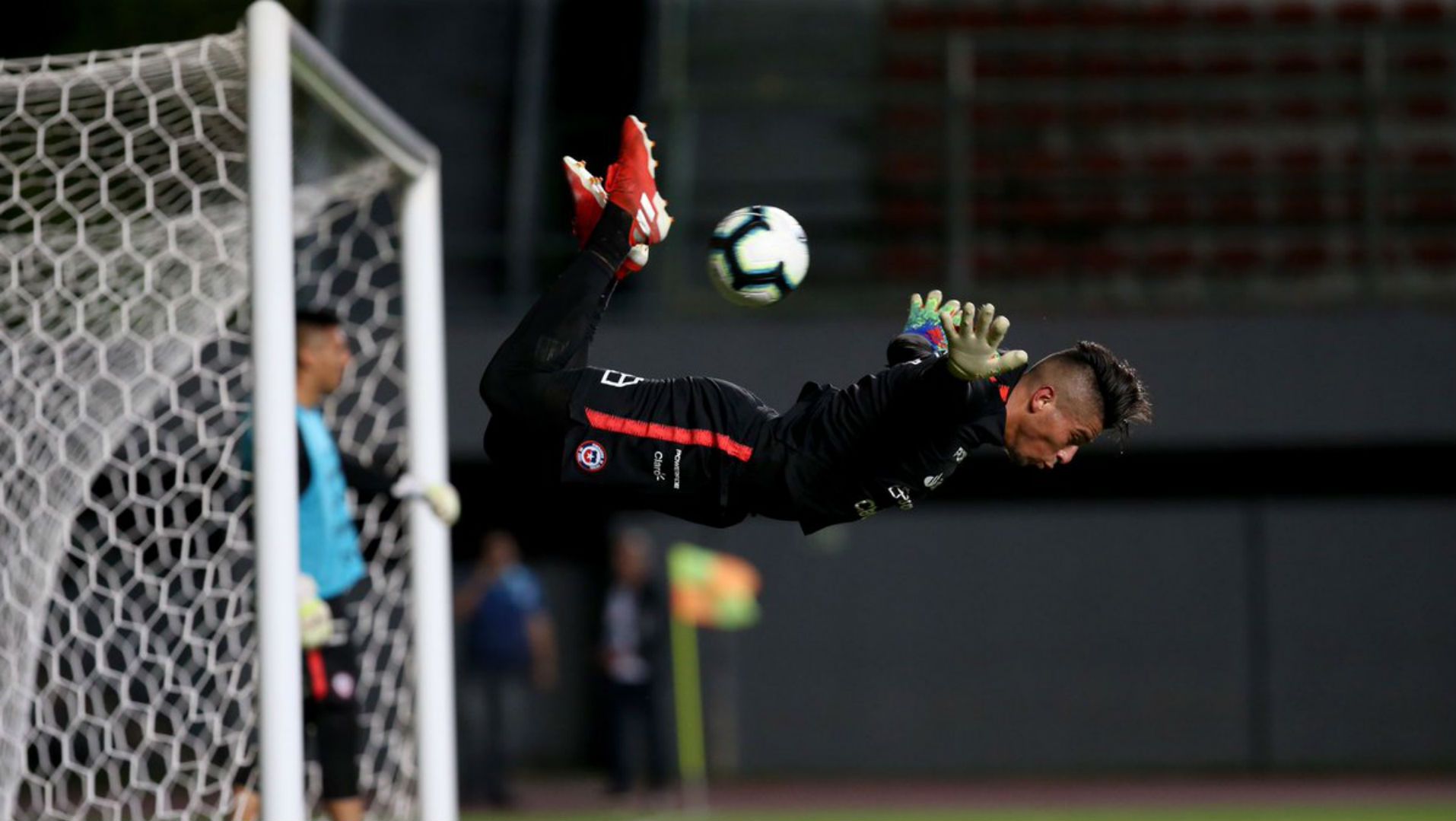 Escorpión de Brayan Cortés Chile