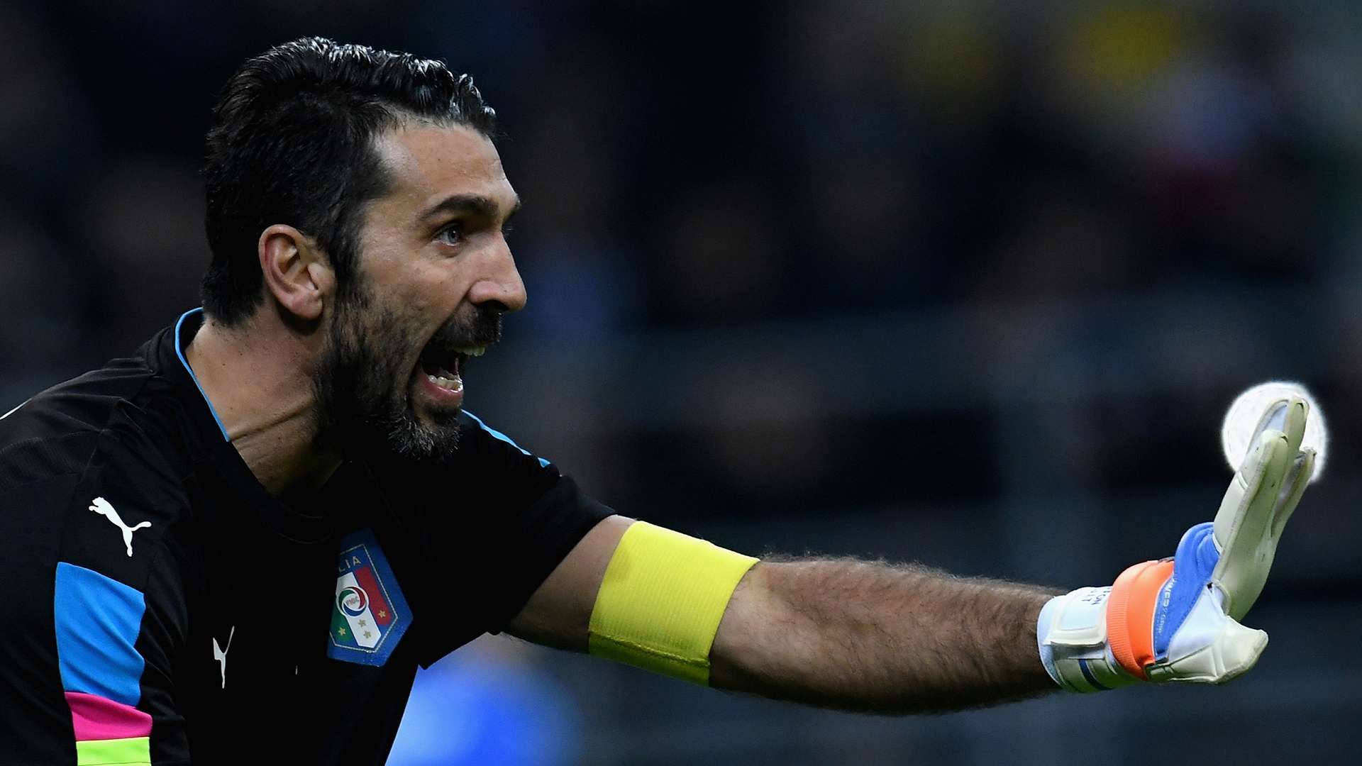 buffon