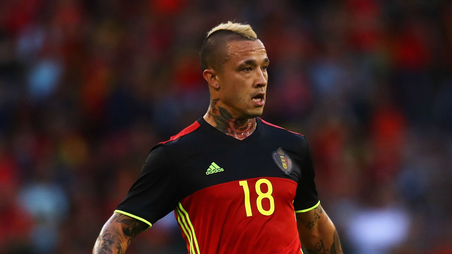 Radja Nainggolan