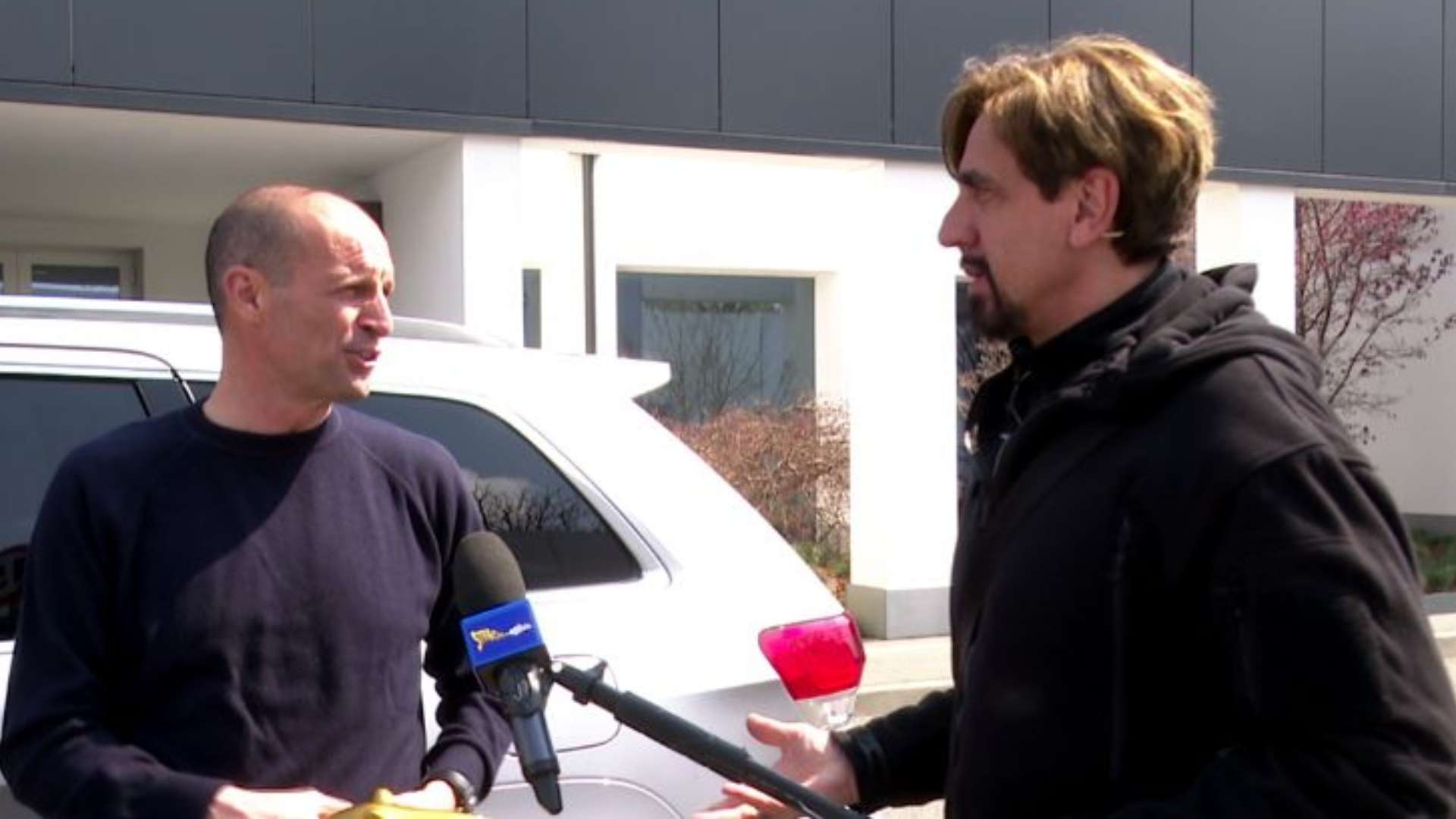 Allegri Tapiro d'Oro