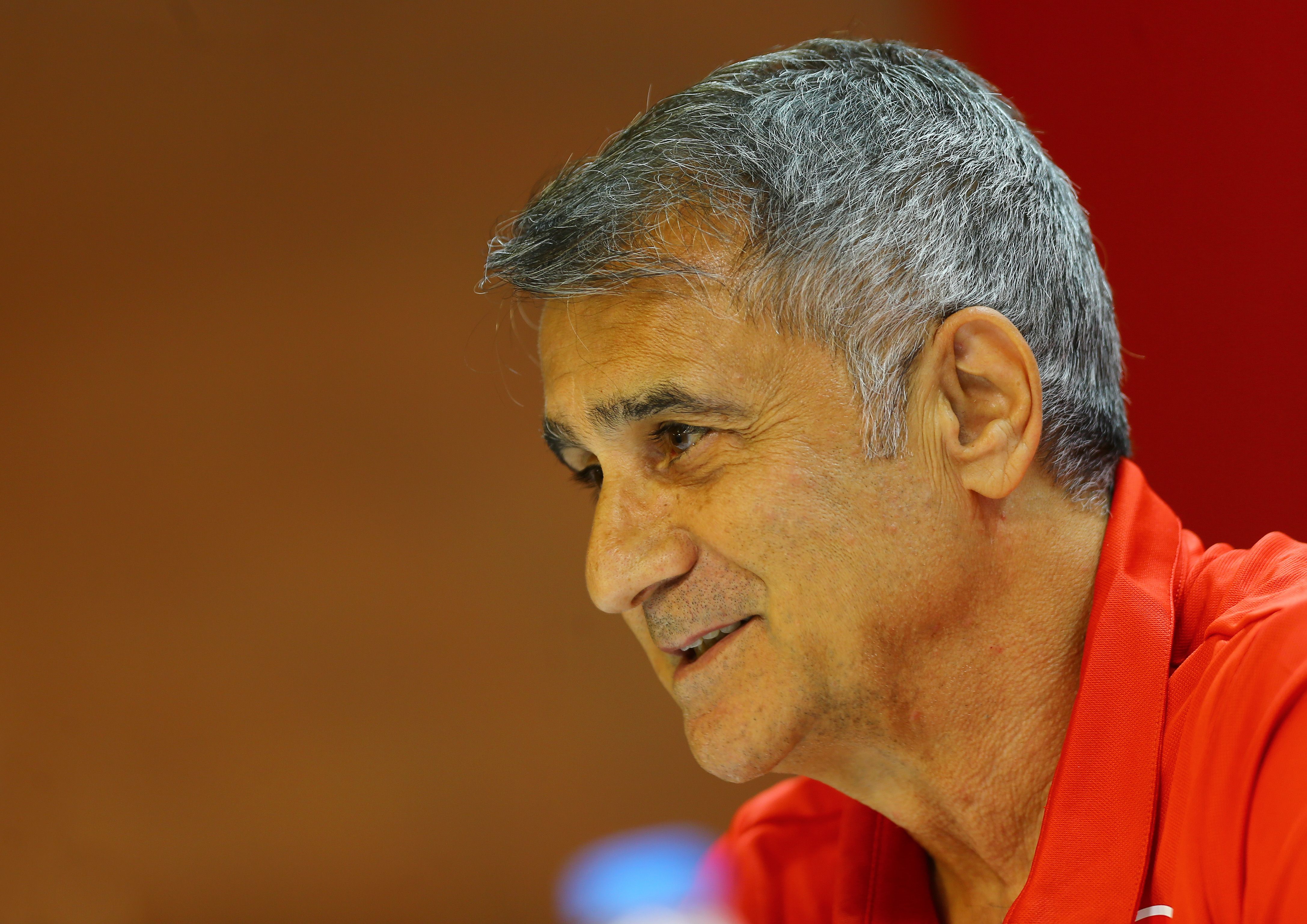 Senol Gunes Turkey Coach