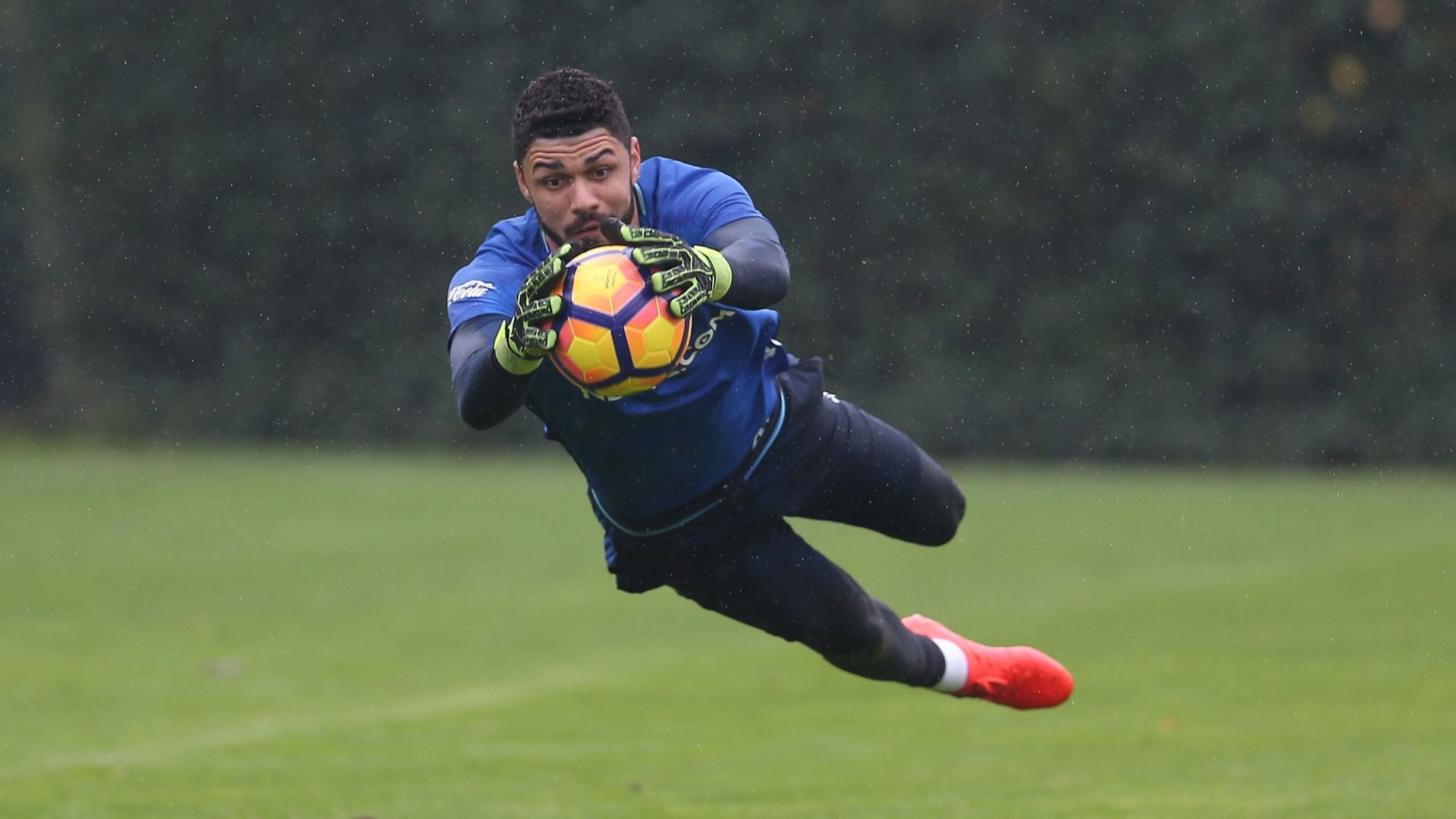 Fabiano Ribeiro Fenerbahce