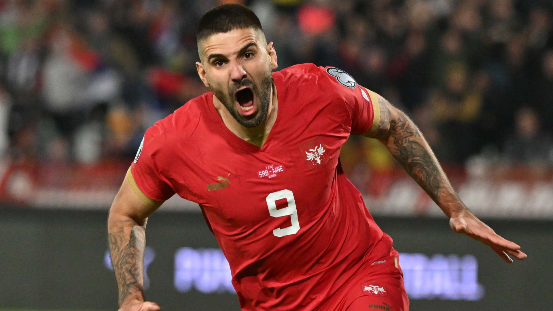 Aleksandar Mitrovic Serbia 2023-24