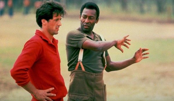 GER ONLY Pele Stallone