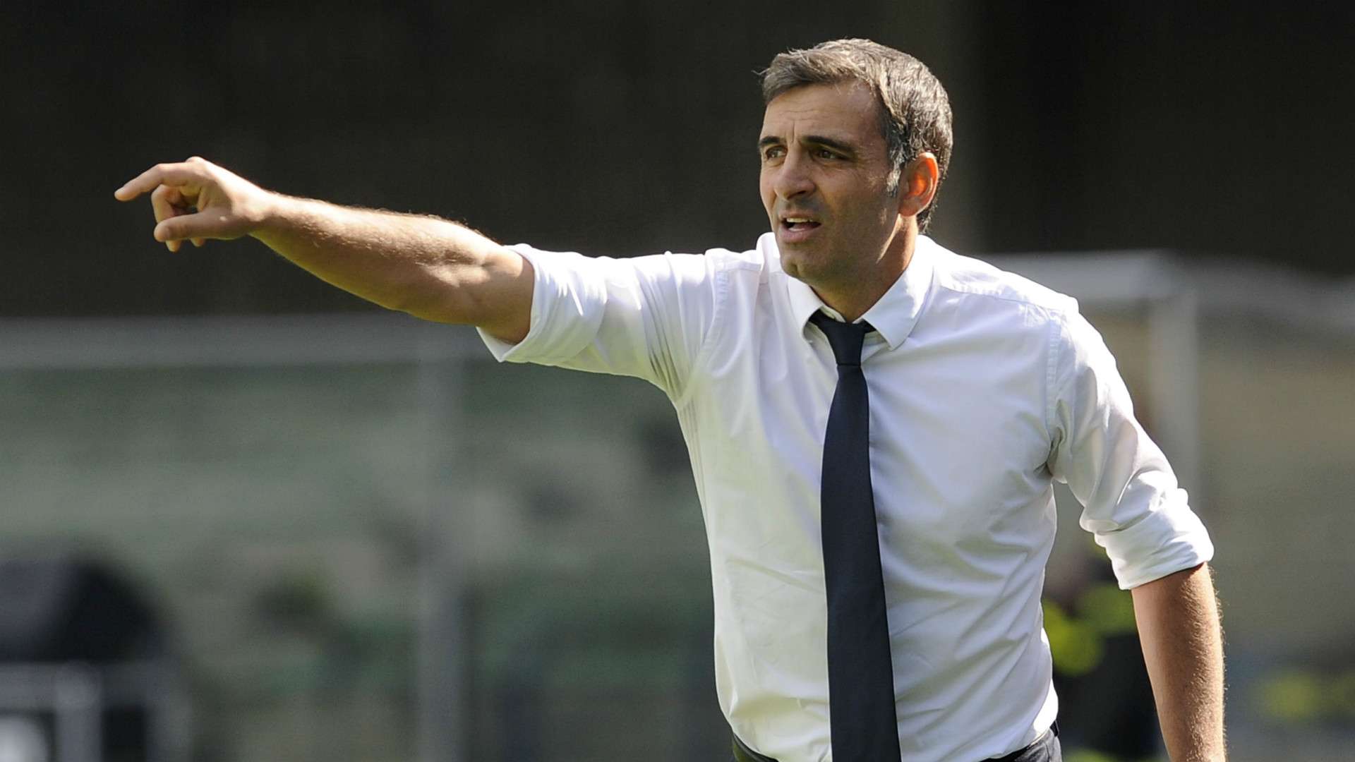 Fabio Pecchia, Verona, Serie A, 24092017