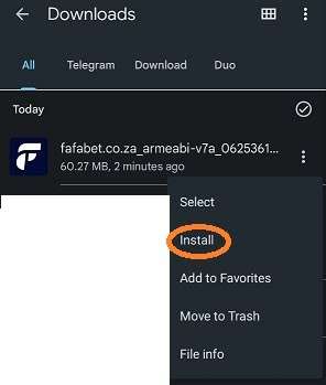 fafabet app apk download settings screenshot