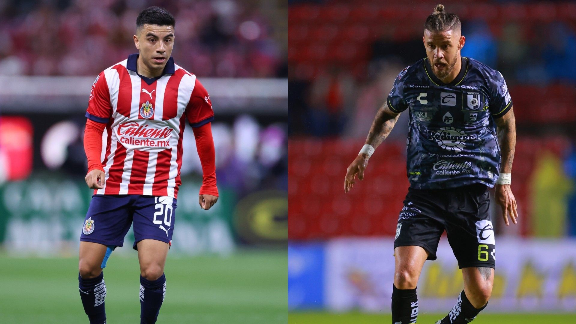 Chivas Querétaro VIVO Clausura 2024