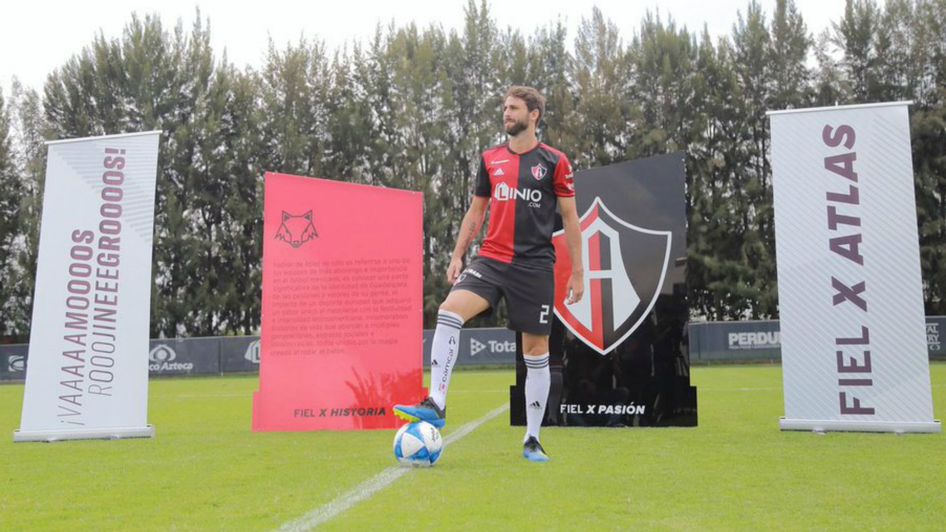 Nicolás Pareja