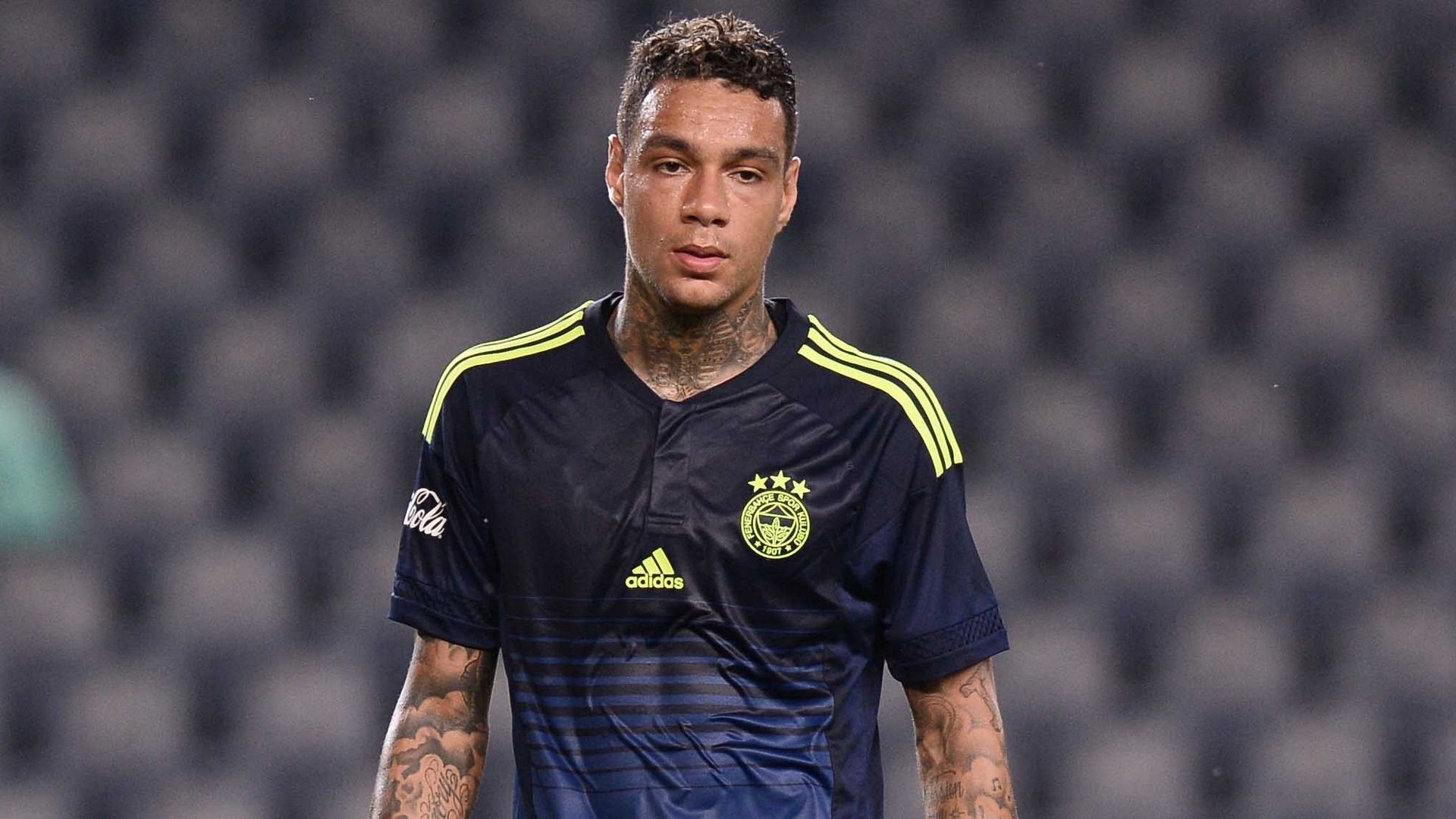 Gregory van der Wiel Fenerbahce