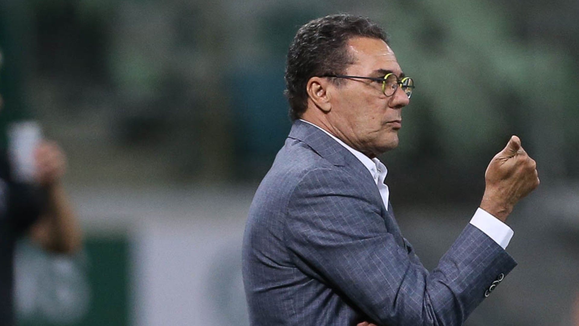 Vanderlei Luxemburgo Palmeiras 2020