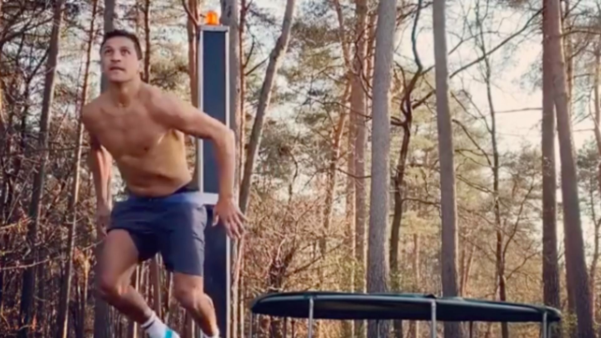 Alexis Sánchez CAPTURA