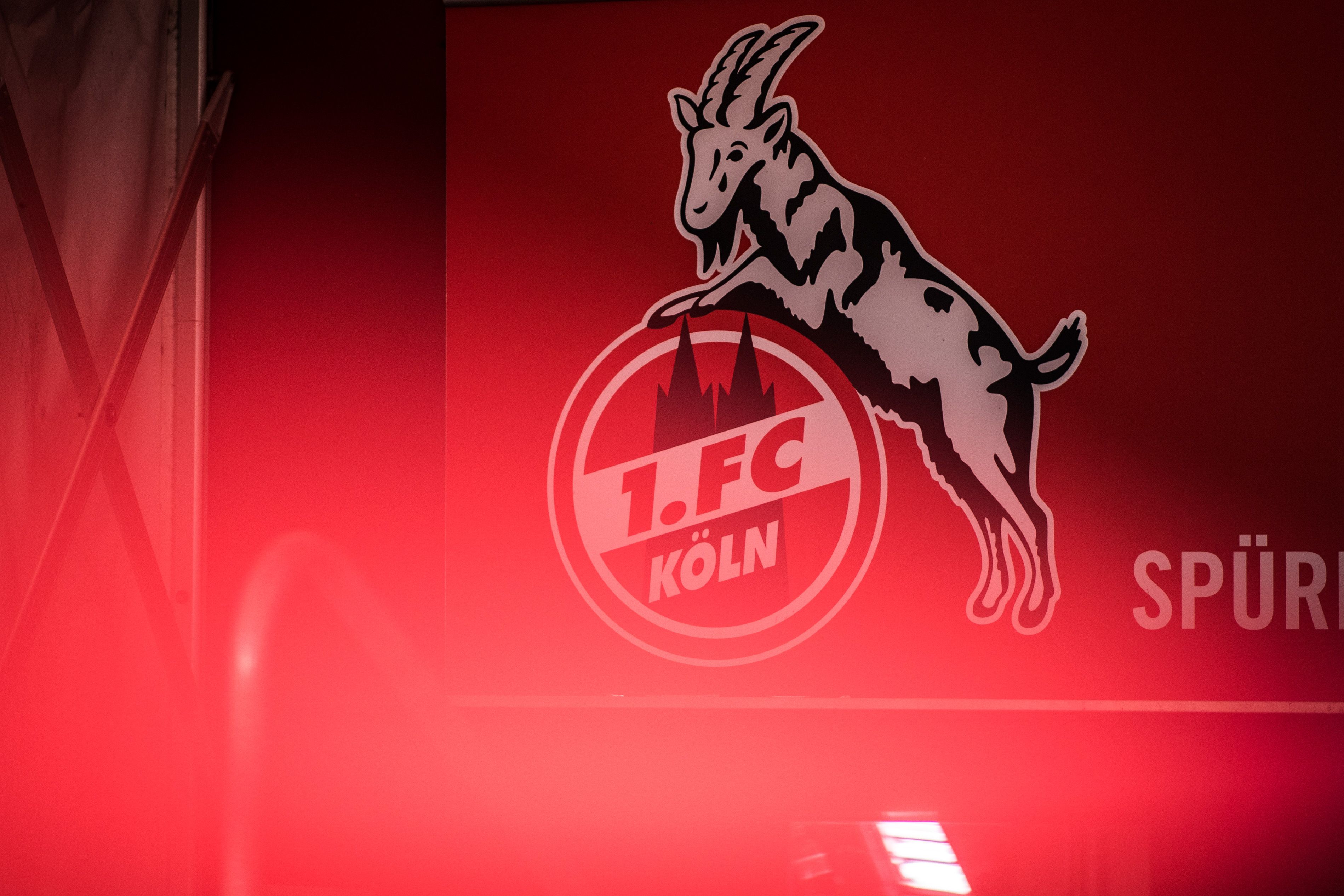 Hennes FC Koln Goat