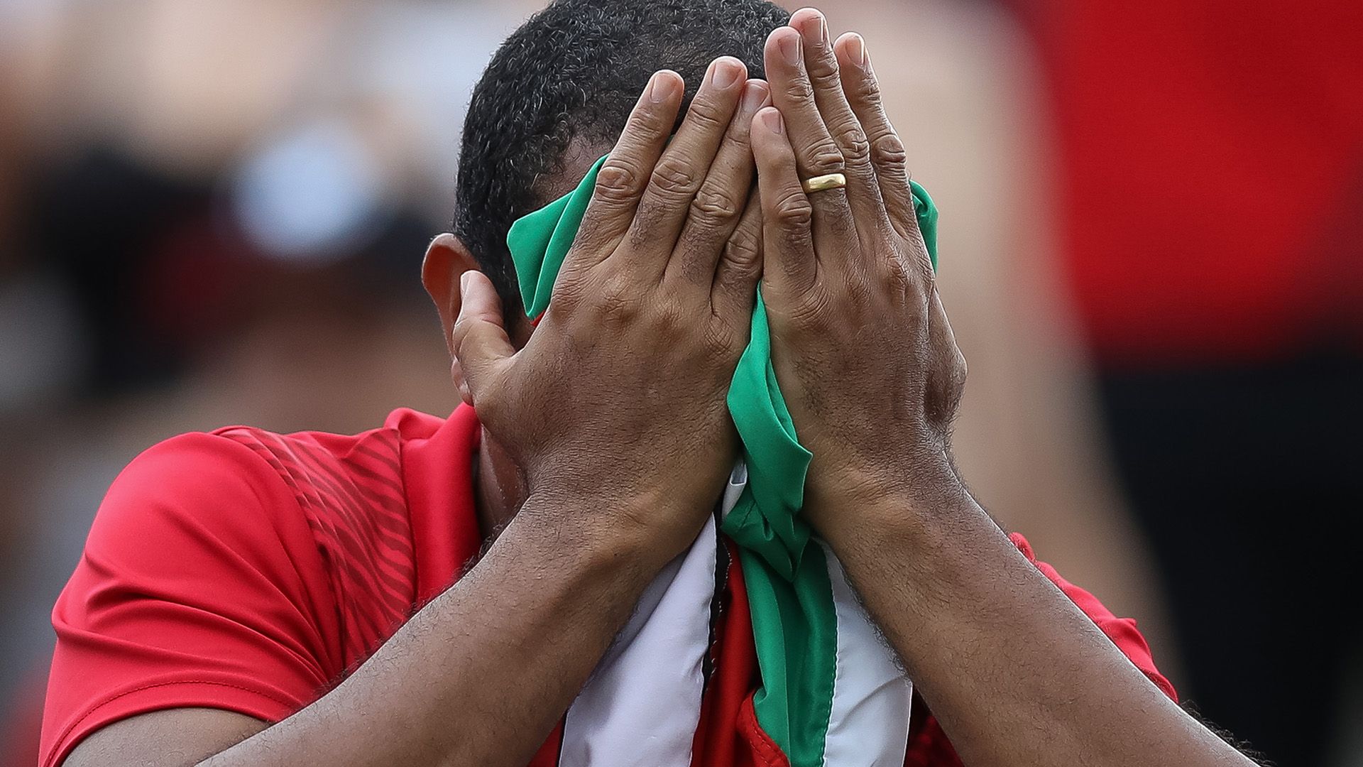 Torcida Internacional Fluminense Brasileirão 11122016