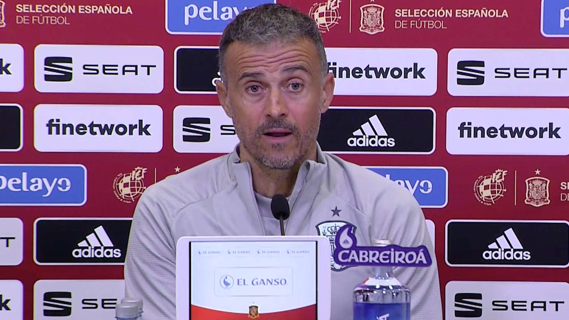 Luis Enrique España