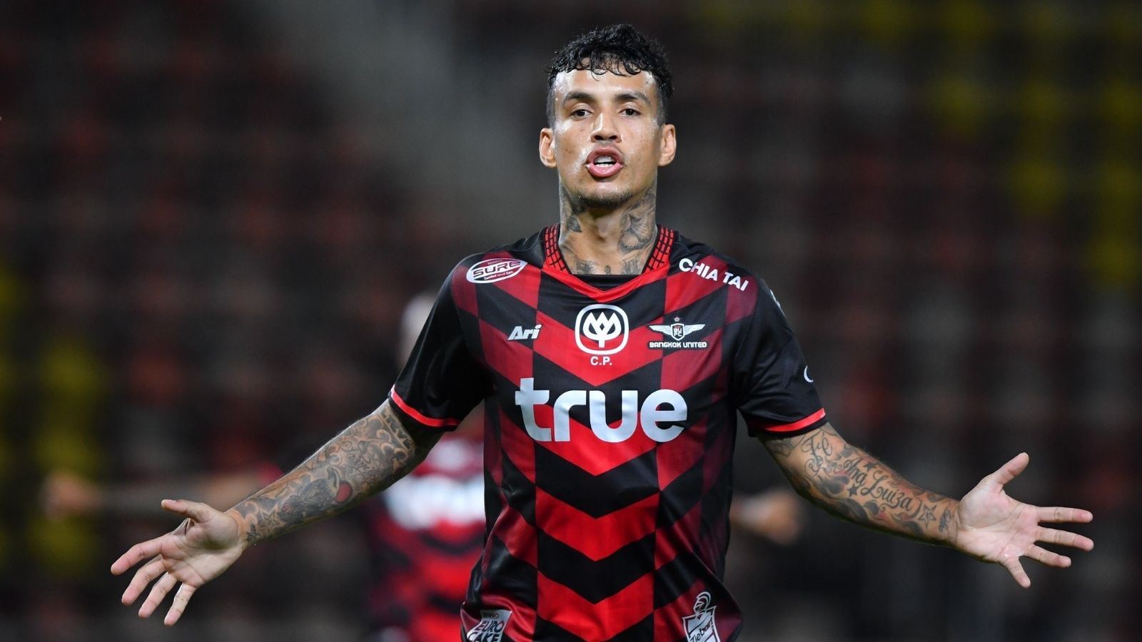 Vander Luiz Silva Souza