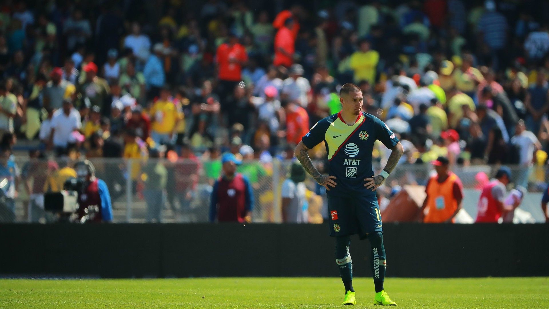 Pumas América Nicolás Castillo